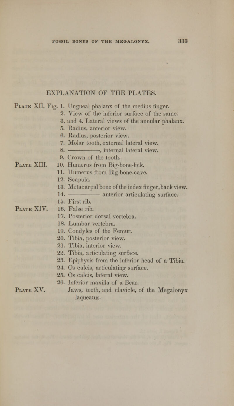 EXPLANATION OF THE PLATES. Plate XII. Fi g-1- 2. 3, 5. 6. 7. 8. 9. Plate XIII. 10. 11. 12. 13. 14. 15. Plate XIV. 16. 17. 18. 19. 20. 21. 22. 23. 24. 25. 26. Plate XV. Ungueal phalanx of the medius finger. View of the inferior surface of the same. and 4. Lateral views of the annular phalanx. Radius, anterior view. Radius, posterior view. Molar tooth, external lateral view. , internal lateral view. Crown of the tooth. Humerus from Big-bone-lick. Humerus from Big-bone-cave. Scapula. Metacarpal bone of the index finger, back view. anterior articulating surface. First rib. False rib. Posterior dorsal vertebra. Lumbar vertebra. Condyles of the Femur. Tibia, posterior view. Tibia, interior view. Tibia, articulating surface. Epiphysis from the inferior head of a Tibia. Os calcis, articulating surface. Os calcis, lateral view. Inferior maxilla of a Bear. Jaws, teeth, and clavicle, of the Megalonyx laqueatus.