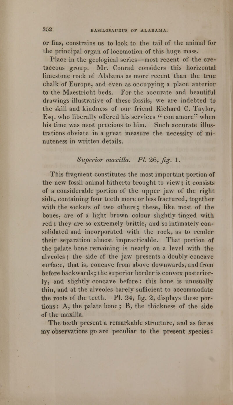 or fins, constrains us to look to the tail of the animal for the principal organ of locomotion of this huge mass. Place in the geological series—most recent of the cre- taceous group. Mr. Conrad considers this horizontal limestone rock of Alabama as more recent than the true chalk of Europe, and even as occupying a place anterior to the Maestricht beds. For the accurate and beautiful drawings illustrative of these fossils, we are indebted to the skill and kindness of our friend Richard C. Taylor, Esq. who liberally offered his services  con amore when his time was most precious to him. Such accurate illus- trations obviate in a great measure the necessity of mi- nuteness in written details. Supe?*ior maxilla. PL 26, Jig. 1. This fragment constitutes the most important portion of the new fossil animal hitherto brought to view; it consists of a considerable portion of the upper jaw of the right side, containing four teeth more or less fractured, together with the sockets of two others; these, like most of the bones, are of a light brown colour slightly tinged with red ; they are so extremely brittle, and so intimately con- solidated and incorporated with the rock, as to render their separation almost impracticable. That portion of the palate bone remaining is nearly on a level with the alveoles; the side of the jaw presents a doubly concave surface, that is, concave from above downwards, and from before backwards; the superior border is convex posterior- ly, and slightly concave before: this bone is unusually thin, and at the alveoles barely sufficient to accommodate the roots of the teeth. PI. 24, fig. 2, displays these por- tions : A, the palate bone; B, the thickness of the side of the maxilla. The teeth present a remarkable structure, and as far as my observations go are peculiar to the present species: