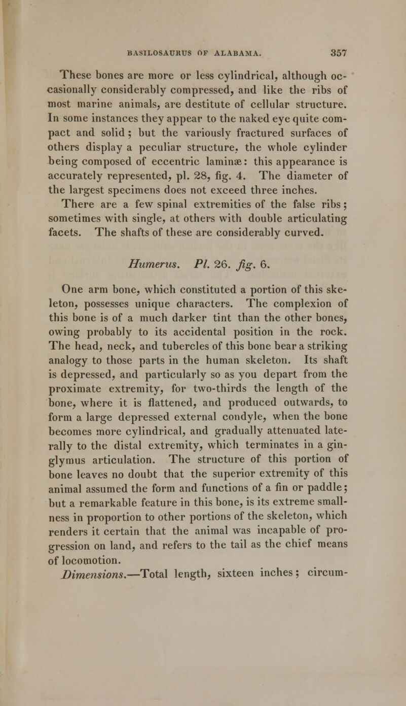 These bones are more or less cylindrical, although oc- casionally considerably compressed, and like the ribs of most marine animals, are destitute of cellular structure. In some instances they appear to the naked eye quite com- pact and solid; but the variously fractured surfaces of others display a peculiar structure, the whole cylinder being composed of eccentric laminae: this appearance is accurately represented, pi. 28, fig. 4. The diameter of the largest specimens does not exceed three inches. There are a few spinal extremities of the false ribs; sometimes with single, at others with double articulating facets. The shafts of these are considerably curved. Humerus. PL 26. Jig. 6. One arm bone, which constituted a portion of this ske- leton, possesses unique characters. The complexion of this bone is of a much darker tint than the other bones, owing probably to its accidental position in the rock. The head, neck, and tubercles of this bone bear a striking analogy to those parts in the human skeleton. Its shaft is depressed, and particularly so as you depart from the proximate extremity, for two-thirds the length of the bone, where it is flattened, and produced outwards, to form a large depressed external condyle, when the bone becomes more cylindrical, and gradually attenuated late- rally to the distal extremity, which terminates in a gin- glymus articulation. The structure of this portion of bone leaves no doubt that the superior extremity of this animal assumed the form and functions of a fin or paddle; but a remarkable feature in this bone, is its extreme small- ness in proportion to other portions of the skeleton, which renders it certain that the animal was incapable of pro- gression on land, and refers to the tail as the chief means of locomotion. Dimensions.—Total length, sixteen inches; circum-