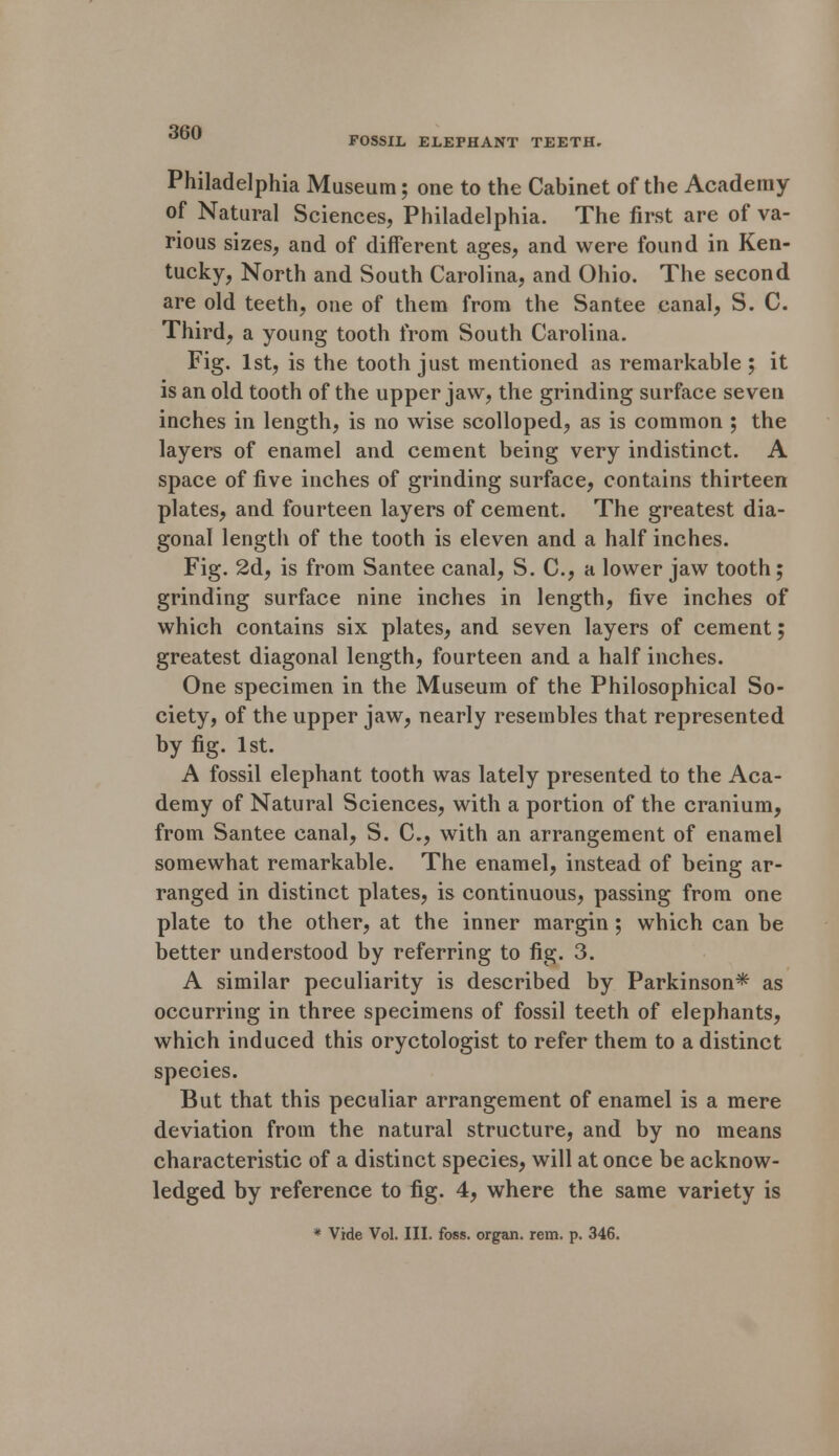 Philadelphia Museum; one to the Cabinet of the Academy of Natural Sciences, Philadelphia. The first are of va- rious sizes, and of different ages, and were found in Ken- tucky, North and South Carolina, and Ohio. The second are old teeth, one of them from the Santee canal, S. C. Third, a young tooth from South Carolina. Fig. 1st, is the tooth just mentioned as remarkable ; it is an old tooth of the upper jaw, the grinding surface seven inches in length, is no wise scolloped, as is common ; the layers of enamel and cement being very indistinct. A space of five inches of grinding surface, contains thirteen plates, and fourteen layers of cement. The greatest dia- gonal length of the tooth is eleven and a half inches. Fig. 2d, is from Santee canal, S. C, a lower jaw tooth; grinding surface nine inches in length, five inches of which contains six plates, and seven layers of cement; greatest diagonal length, fourteen and a half inches. One specimen in the Museum of the Philosophical So- ciety, of the upper jaw, nearly resembles that represented by fig. 1st. A fossil elephant tooth was lately presented to the Aca- demy of Natural Sciences, with a portion of the cranium, from Santee canal, S. C, with an arrangement of enamel somewhat remarkable. The enamel, instead of being ar- ranged in distinct plates, is continuous, passing from one plate to the other, at the inner margin; which can be better understood by referring to fig. 3. A similar peculiarity is described by Parkinson* as occurring in three specimens of fossil teeth of elephants, which induced this oryctologist to refer them to a distinct species. But that this peculiar arrangement of enamel is a mere deviation from the natural structure, and by no means characteristic of a distinct species, will at once be acknow- ledged by reference to fig. 4, where the same variety is
