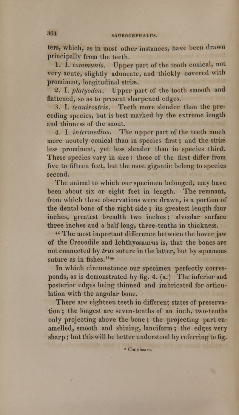 ters, which, as in most other instances, have been drawn principally from the teeth. 1. I. communis. Upper part of the tooth conical, not very acute, slightly aduncate, and thickly covered with prominent, longitudinal striae. 2. I. platyodon. Upper part of the tooth smooth and flattened, so as to present sharpened edges. 3. I. tenuirostris. Teeth more slender than the pre- ceding species, but is best marked by the extreme length and thinness of the snout. 4. I. intermedins. The upper part of the teeth much more acutely conical than in species first; and the striae less prominent, yet less slender than in species third. These species vary in size: those of the first differ from five to fifteen feet, but the most gigantic belong to species second. The animal to which our specimen belonged, may have been about six or eight feet in length. The remnant, from which these observations were drawn, is a portion of the dental bone of the right side ; its greatest length four inches, greatest breadth two inches; alveolar surface three inches and a half long, three-tenths in thickness. u The most important difference between the lower jaw of the Crocodile and Ichthyosaurus is, that the bones are not connected by true suture in the latter, but by squamous suture as in fishes.* In which circumstance our specimen perfectly corres- ponds, as is demonstrated by fig. 4. (a.) The inferior and posterior edges being thinned and imbricated for articu- lation with the angular bone. There are eighteen teeth in different states of preserva- tion ; the longest are seven-tenths of an inch, two-tenths only projecting above the bone ; the projecting part en- amelled, smooth and shining, lanciform ; the edges very sharp; but this will be better understood by referring to fig. * Conybeare.