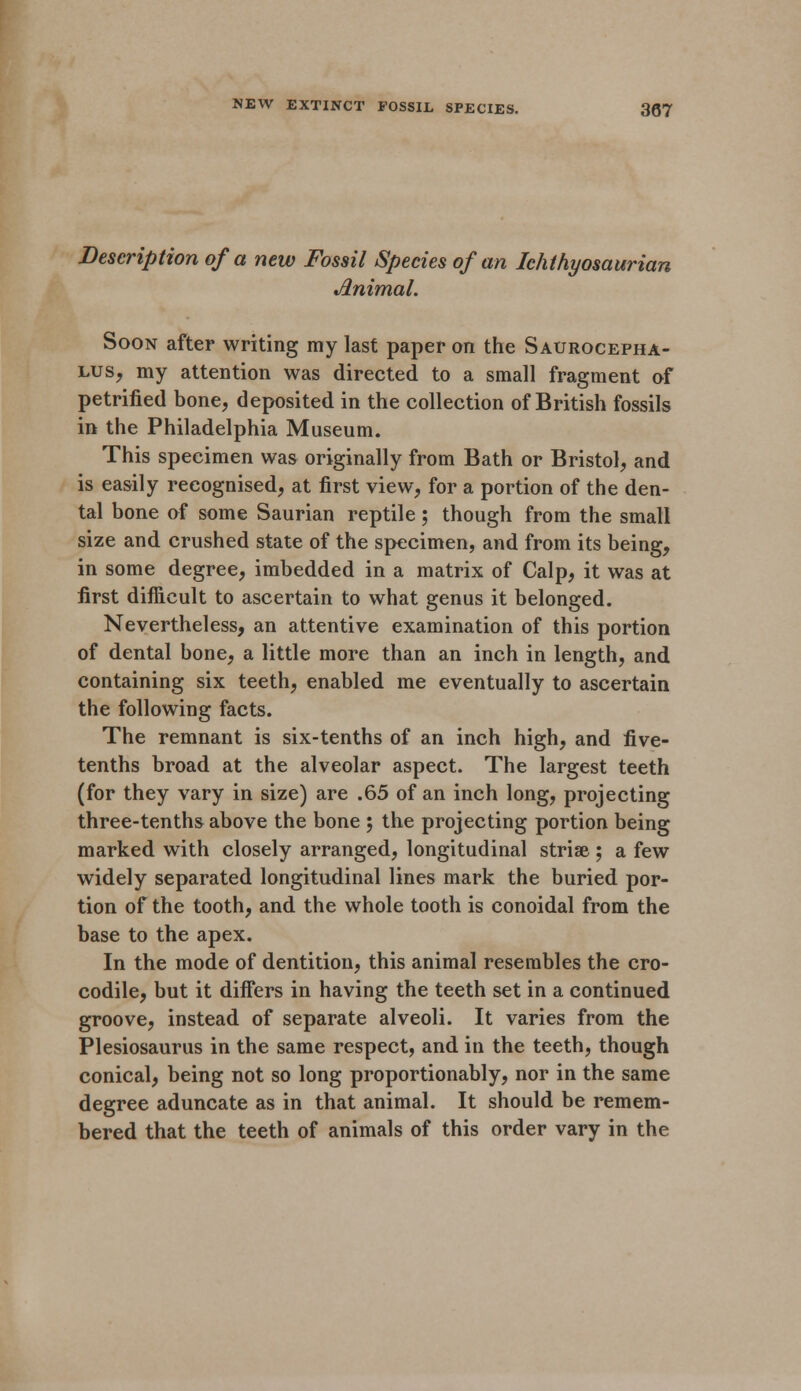 Description of a new Fossil Species of an Ichthyosaurian Animal. Soon after writing my last paper on the Saurocepha- lus, my attention was directed to a small fragment of petrified bone, deposited in the collection of British fossils in the Philadelphia Museum. This specimen was originally from Bath or Bristol, and is easily recognised, at first view, for a portion of the den- tal bone of some Saurian reptile; though from the small size and crushed state of the specimen, and from its being, in some degree, imbedded in a matrix of Calp, it was at first difficult to ascertain to what genus it belonged. Nevertheless, an attentive examination of this portion of dental bone, a little more than an inch in length, and containing six teeth, enabled me eventually to ascertain the following facts. The remnant is six-tenths of an inch high, and five- tenths broad at the alveolar aspect. The largest teeth (for they vary in size) are .65 of an inch long, projecting three-tenths above the bone ; the projecting portion being marked with closely arranged, longitudinal striae ; a few widely separated longitudinal lines mark the buried por- tion of the tooth, and the whole tooth is conoidal from the base to the apex. In the mode of dentition, this animal resembles the cro- codile, but it differs in having the teeth set in a continued groove, instead of separate alveoli. It varies from the Plesiosaurus in the same respect, and in the teeth, though conical, being not so long proportionably, nor in the same degree aduncate as in that animal. It should be remem- bered that the teeth of animals of this order vary in the