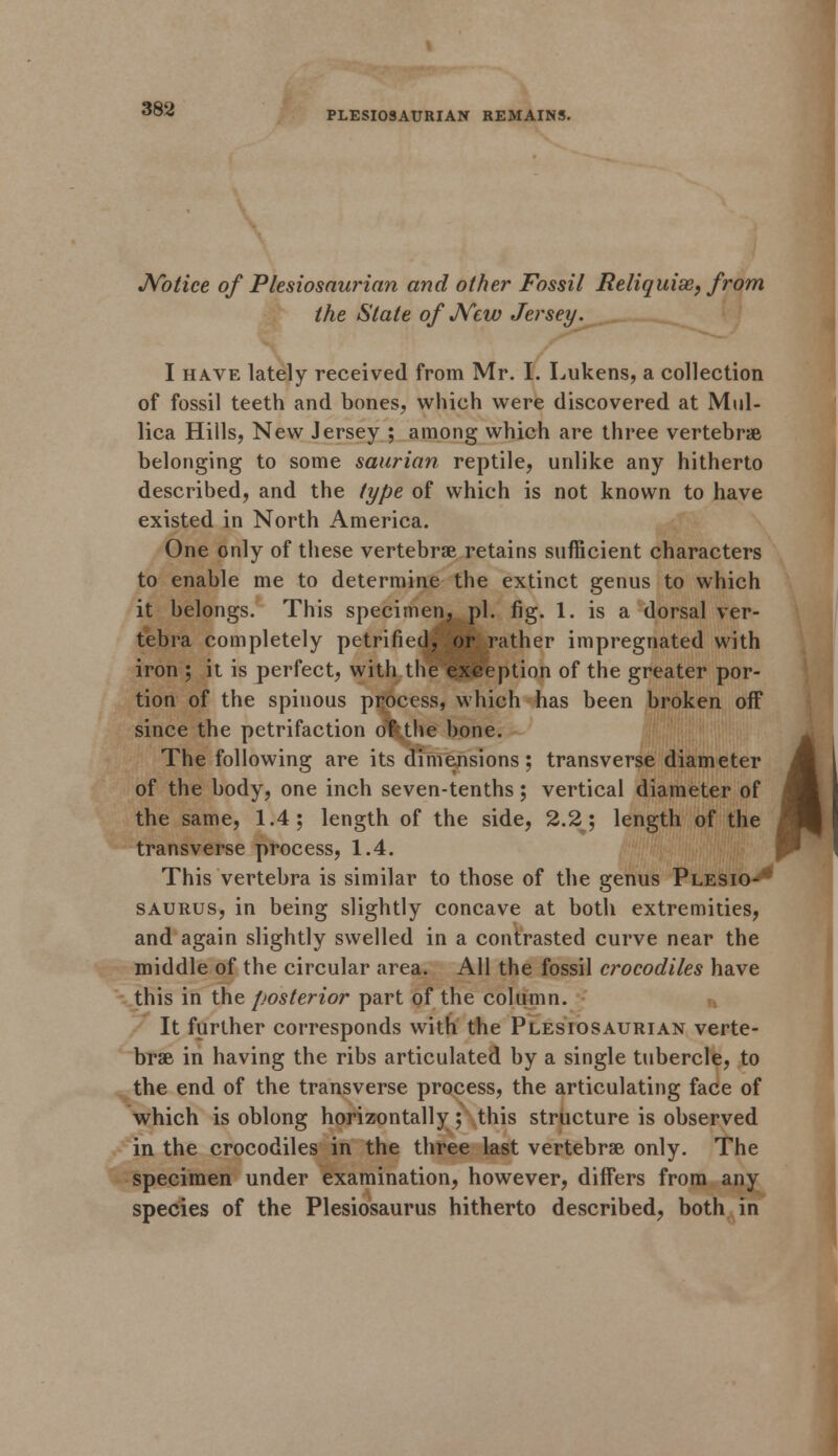 PLESIOSAURIAN REMAINS. Notice of Plesiosawian and other Fossil Reliquise, from the State of New Jersey. I have lately received from Mr. I. Lukens, a collection of fossil teeth and bones, which were discovered at Mul- lica Hills, New Jersey ; among which are three vertebrae belonging to some saurian reptile, unlike any hitherto described, and the type of which is not known to have existed in North America. One only of these vertebrae retains sufficient characters to enable me to determine the extinct genus to which it belongs. This specimen, pi. fig. 1. is a dorsal ver- tebra completely petrified, or rather impregnated with iron ; it is perfect, with the exception of the greater por- tion of the spinous process, which has been broken off since the petrifaction dfr.the bone. The following are its dimensions; transverse diameter of the body, one inch seven-tenths; vertical diameter of the same, 1.4; length of the side, 2.2; length of the transverse process, 1.4. This vertebra is similar to those of the genus Plesio-' saurus, in being slightly concave at both extremities, and again slightly swelled in a contrasted curve near the middle of the circular area. All the fossil crocodiles have this in the posterior part of the column. It further corresponds with the Plesiosaurian verte- brae in having the ribs articulated by a single tubercle, to the end of the transverse process, the articulating face of which is oblong horizontally; this structure is observed in the crocodiles in the three last vertebrae only. The specimen under examination, however, differs from any species of the Plesiosaurus hitherto described, both in