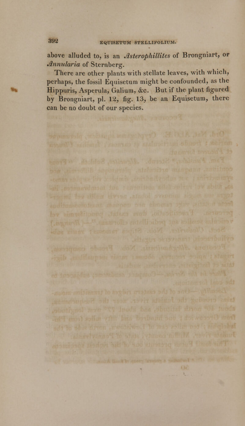 above alluded to, is an Asterophillites of Brongniart, or Annularia of Sternberg. There are other plants with stellate leaves, with which, perhaps, the fossil Equisetum might be confounded, as the Hippuris, Asperula, Galium, &c. But if the plant figured by Brongniart, pi. 12, fig. 13, be an Equisetum, there can be no doubt of our species.