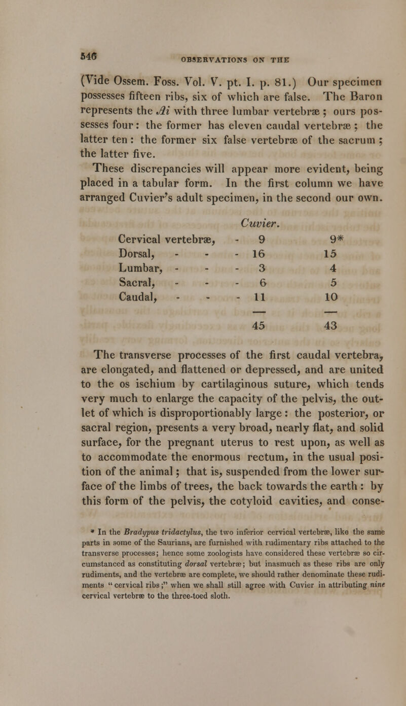 OBSERVATIONS ON THE (Vide Ossem. Foss. Vol. V. pt. I. p. 81.) Our specimen possesses fifteen ribs, six of which are false. The Baron represents the Ai with three lumbar vertebrae ; ours pos- sesses four : the former has eleven caudal vertebrae ; the latter ten: the former six false vertebrae of the sacrum ; the latter five. These discrepancies will appear more evident, being placed in a tabular form. In the first column we have arranged Cuvier's adult specimen, in the second our own. Cuvier. Cervical vertebrae, - 9 9* Dorsal, - 16 15 Lumbar, - 3 4 Sacral, 6 5 Caudal, - 11 10 45 43 The transverse processes of the first caudal vertebra, are elongated, and flattened or depressed, and are united to the os ischium by cartilaginous suture, which tends very much to enlarge the capacity of the pelvis, the out- let of which is disproportionably large: the posterior, or sacral region, presents a very broad, nearly flat, and solid surface, for the pregnant uterus to rest upon, as well as to accommodate the enormous rectum, in the usual posi- tion of the animal; that is, suspended from the lower sur- face of the limbs of trees, the back towards the earth : by this form of the pelvis, the cotyloid cavities, and conse- * In the Bradypus tridactylus, the two inferior cervical vertebrae, like the same parts in some of the Saurians, are furnished with rudimentary ribs attached to the transverse processes; hence some zoologists have considered these vertebrae so cir- cumstanced as constituting dorsal vertebrae; but inasmuch as these ribs are only rudiments, and the vertebrae are complete, we should rather denominate these rudi- ments  cervical ribs; when we shall still agree with Cuvier in attributing nine cervical vertebrae to the three-toed sloth.