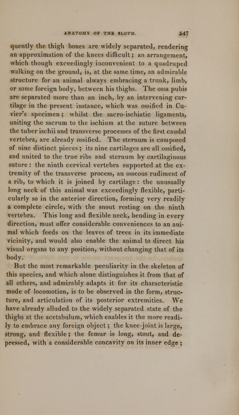 quently the thigh bones are widely separated, rendering an approximation of the knees difficult; an arrangement, which though exceedingly inconvenient to a quadruped walking on the ground, is, at the same time, an admirable structure for an animal always embracing a trunk, limb, or some foreign body, between his thighs. The ossa pubis are separated more than an inch, by an intervening car- tilage in the present instance, which was ossified in Cu- vier's specimen; whilst the sacro-ischiatic ligaments, uniting the sacrum to the ischium at the suture between the tuber ischii and transverse processes of the first caudal vertebra, are already ossified. The sternum is composed of nine distinct pieces ; its nine cartilages are all ossified, and united to the true ribs and sternum by cartilaginous suture: the ninth cervical vertebra supported at the ex- tremity of the transverse process, an osseous rudiment of a rib, to which it is joined by cartilage: the unusually long neck of this animal was exceedingly flexible, parti- cularly so in the anterior direction, forming very readily a complete circle, with the snout resting on the ninth vertebra. This long and flexible neck, bending in every direction, must offer considerable conveniences to an ani- mal which feeds on the leaves of trees in its immediate vicinity, and would also enable the animal to direct his visual organs to any position, without changing that of its body. But the most remarkable peculiarity in the skeleton of this species, and which alone distinguishes it from that of all others, and admirably adapts it for its characteristic mode of locomotion, is to be observed in the form, struc- ture, and articulation of its posterior extremities. We have already alluded to the widely separated state of the thighs at the acetabulum, which enables it the more readi- ly to embrace any foreign object; the knee-joint is large, strong, and flexible; the femur is long, stout, and de- pressed, with a considerable concavity on its inner edge ;