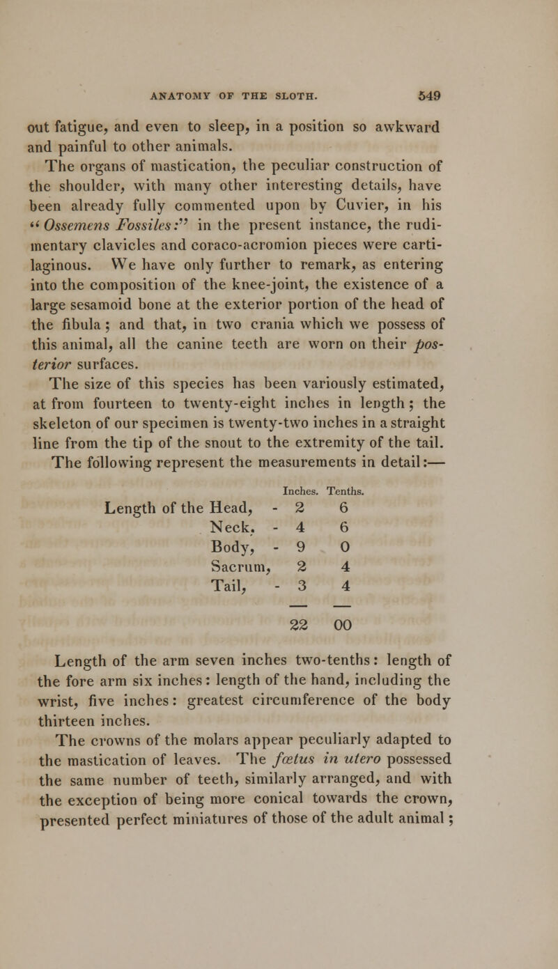 out fatigue, and even to sleep, in a position so awkward and painful to other animals. The organs of mastication, the peculiar construction of the shoulder, with many other interesting details, have been already fully commented upon by Cuvier, in his « Ossemens Fossiles: in the present instance, the rudi- mentary clavicles and coraco-acromion pieces were carti- laginous. We have only further to remark, as entering into the composition of the knee-joint, the existence of a large sesamoid bone at the exterior portion of the head of the fibula ; and that, in two crania which we possess of this animal, all the canine teeth are worn on their pos- terior surfaces. The size of this species has been variously estimated, at from fourteen to twenty-eight inches in length; the skeleton of our specimen is twenty-two inches in a straight line from the tip of the snout to the extremity of the tail. The following represent the measurements in detail:— Inches. Tenths. Length of the Head, - 2 6 Neck, - 4 6 Body, - 9 0 Sacrum, 2 4 Tail, - 3 4 22 00 Length of the arm seven inches two-tenths: length of the fore arm six inches: length of the hand, including the wrist, five inches: greatest circumference of the body thirteen inches. The crowns of the molars appear peculiarly adapted to the mastication of leaves. The foetus in utero possessed the same number of teeth, similarly arranged, and with the exception of being more conical towards the crown, presented perfect miniatures of those of the adult animal;