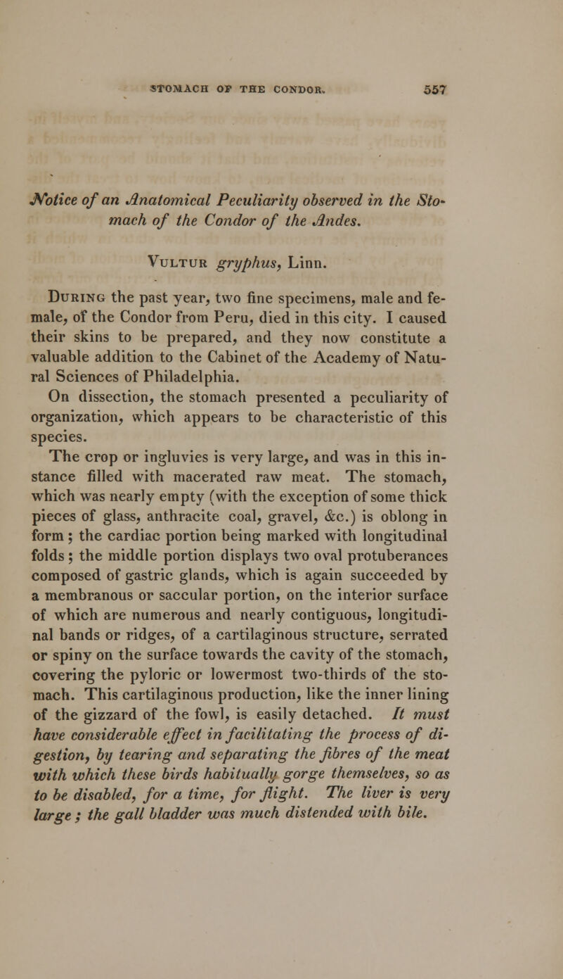 Notice of an Anatomical Peculiarity observed in the Sto- mach of the Condor of the Andes. Vultur gryphus, Linn. During the past year, two fine specimens, male and fe- male, of the Condor from Peru, died in this city. I caused their skins to be prepared, and they now constitute a valuable addition to the Cabinet of the Academy of Natu- ral Sciences of Philadelphia. On dissection, the stomach presented a peculiarity of organization, which appears to be characteristic of this species. The crop or ingluvies is very large, and was in this in- stance filled with macerated raw meat. The stomach, which was nearly empty (with the exception of some thick pieces of glass, anthracite coal, gravel, &c.) is oblong in form ; the cardiac portion being marked with longitudinal folds ; the middle portion displays two oval protuberances composed of gastric glands, which is again succeeded by a membranous or saccular portion, on the interior surface of which are numerous and nearly contiguous, longitudi- nal bands or ridges, of a cartilaginous structure, serrated or spiny on the surface towards the cavity of the stomach, covering the pyloric or lowermost two-thirds of the sto- mach. This cartilaginous production, like the inner lining of the gizzard of the fowl, is easily detached. // must have considerable effect in facilitating the process of di- gestion, by tearing and separating the fibres of the meat with which these birds habitually gorge themselves, so as to be disabled, for a time, for flight. The liver is very large ; the gall bladder was much distended with bile.