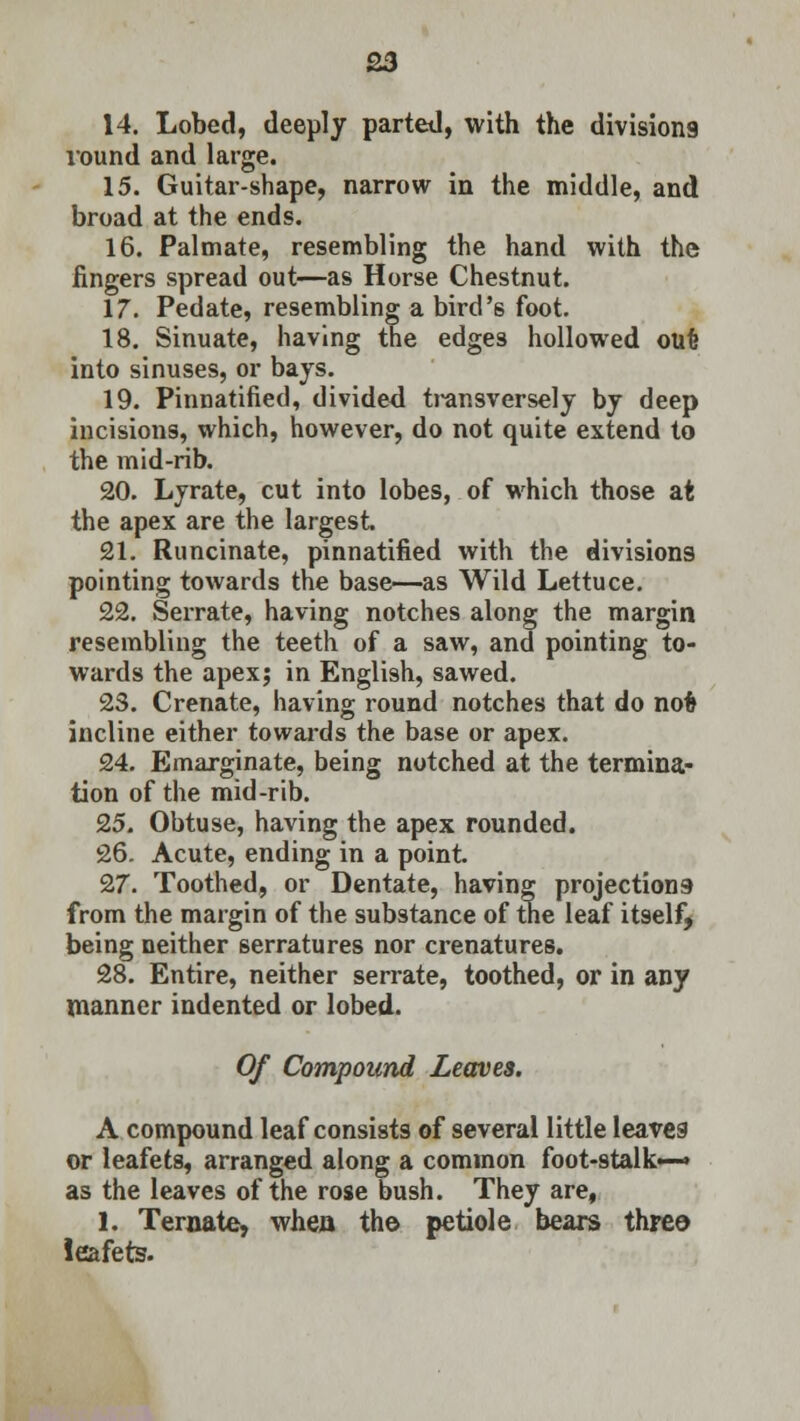 14. Lobed, deeply parted, with the divisions round and large. 15. Guitar-shape, narrow in the middle, and broad at the ends. 16. Palmate, resembling the hand with the fingers spread out—as Horse Chestnut. 17. Pedate, resembling a bird's foot. 18. Sinuate, having the edges hollowed out into sinuses, or bays. 19. Pinnatified, divided transversely by deep incisions, which, however, do not quite extend to the mid-rib. 20. Lyrate, cut into lobes, of which those at the apex are the largest 21. Runcinate, pinnatified with the divisions pointing towards the base—as Wild Lettuce. 22. Serrate, having notches along the margin resembling the teeth of a saw, and pointing to- wards the apex; in English, sawed. 2S. Crenate, having round notches that do nofc incline either towards the base or apex. 24. Emarginate, being notched at the termina- tion of the mid-rib. 25. Obtuse, having the apex rounded. 26. Acute, ending in a point. 27. Toothed, or Dentate, having projections from the margin of the substance of the leaf itself, being neither serratures nor crenatures. 28. Entire, neither serrate, toothed, or in any manner indented or lobed. Of Compound Leaves. A compound leaf consists of several little leaves or leafets, arranged along a common foot-stalk— as the leaves of the rose bush. They are, 1. Ternate, when the petiole bears three leafets.