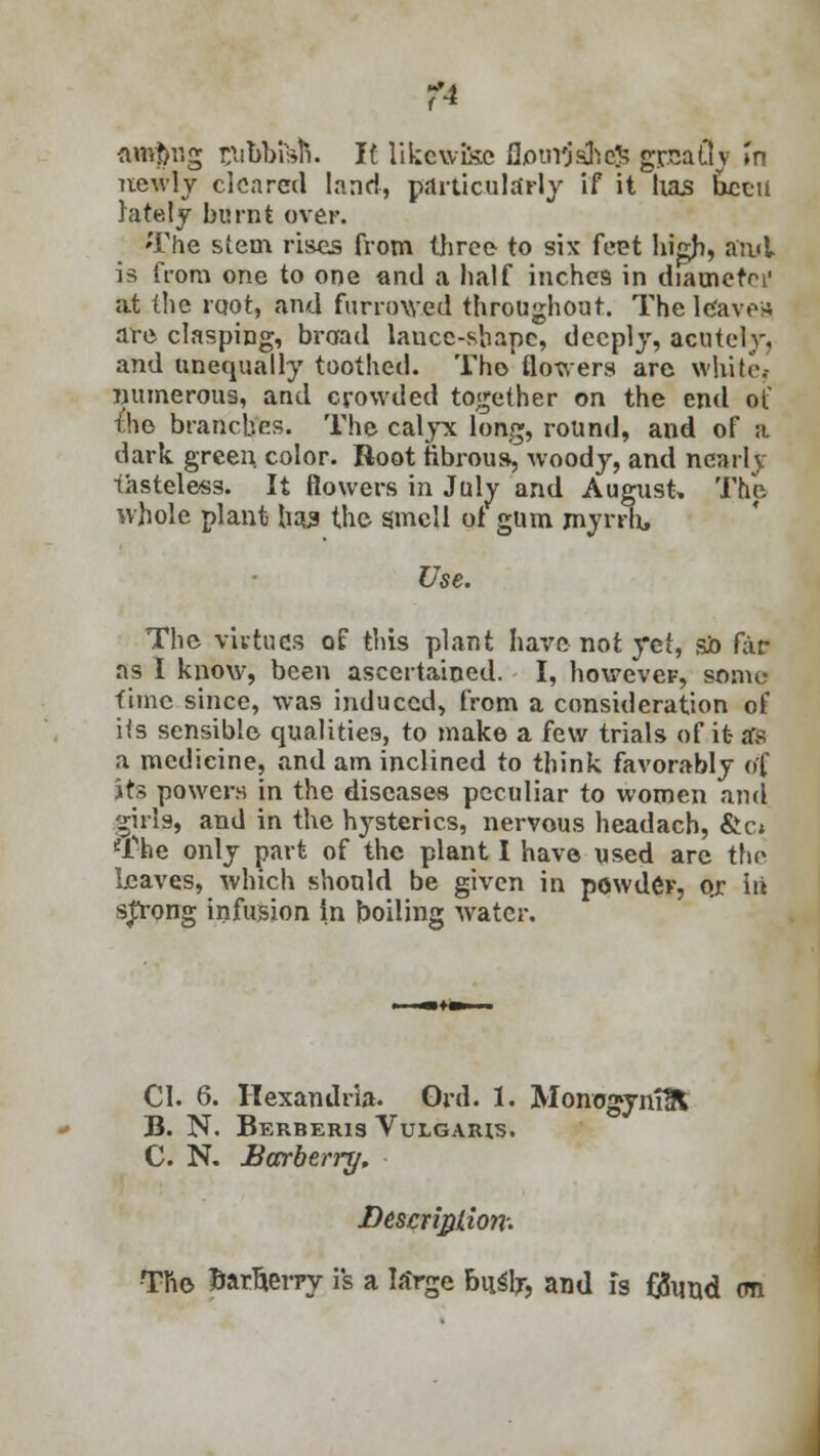 amftng rabbit. It likewise flourjsthefc gflsafl? »n newly cleared land, particularly if it lias peed lately burnt over. 'The stem rises from three to six fe^t high, and is from one to one and a half inches in diametoi' at the root, and furrowed throughout. The leaver are clasping, broad lance-shape, deeply, acutely, and unequally toothed. Tho flowers are white; numerous, and crowded together on the end of t!he branches. The calyx long, round, and of a dark green color. Root fibrous, woody, and nearly tasteless. It flowers in July and August, The whole plant has the smell ot gum myrrh, Use. The virtues of this plant have not yet, so far as I know, been ascertained. I, however, some time since, was induced, from a consideration of its sensible qualities, to make a few trials of it- as a medicine, and am inclined to think favorably of its powers in the diseases peculiar to women and girl9, and in the hysterics, nervous headach, &c* The only part of the plant I have used are the Leaves, which should be given in powder, ox in strong infusion In boiling water. CI. 6. Hexandria. Ord. 1. Monog-ymUl B. N. Berberis Vulgaris. C. N. Barberry. Description; Tho l&arlterry is a la>ge h\\i\f, and is tfund on
