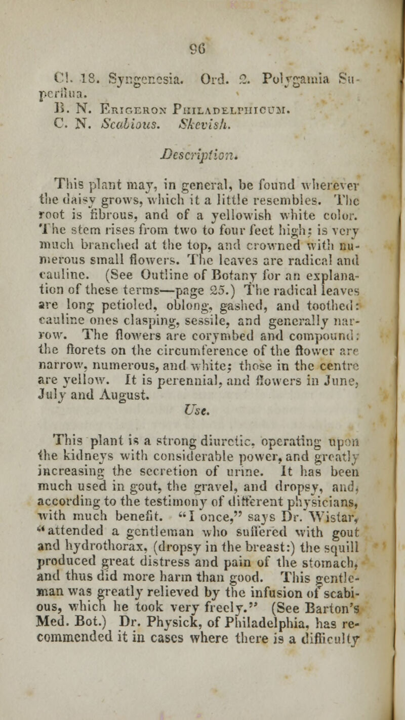 CI. 18. Syngenesia. Ord. 2. Polygamia Su- peril is a. B. N. ErIGERON PhTLADEXPHIOUM. C. N. Scabious. Skevish. Description. This plant may, in general, be found wherever the daisy grows, which it a little resembles. The root is fibrous, and of a yellowish white color. The stem rises from two to four i'ect high,: is very much branched at the top, and crowned with nu- merous small flowers. The leaves are radical and cauline. (See Outline of Botany for an explana- tion of these terms—page 25.) The radical leaves are long petioled, oblong, gashed, and toothed: cauline ones clasping, sessile, and generally nar- row. The flowers are corymbed and compound; the florets on the circumference of the flower are narrow, numerous, and white; those in the centre are yellow. It is perennial; and flowers in June, July and August. Use. This plant is a strong diuretic, operating upon the kidneys with considerable power, and greatly increasing the secretion of urine. It has been much used in gout, the gravel, and dropsy, and, according to the testimony of different physicians, with much benefit. I once, says Dr. Wistar, attended a gentleman who suffered with gout and hydrothorax, (dropsy in the breast:) the squill produced great distress and pain of the stomach, and thus did more harm than good. This gentle- man was greatly relieved by the infusion of scabi- ous, which he took very freely. (See Barton's Med. Bot.) Dr. Physick, of Philadelphia, has re- commended it in cases where there is a difficulty