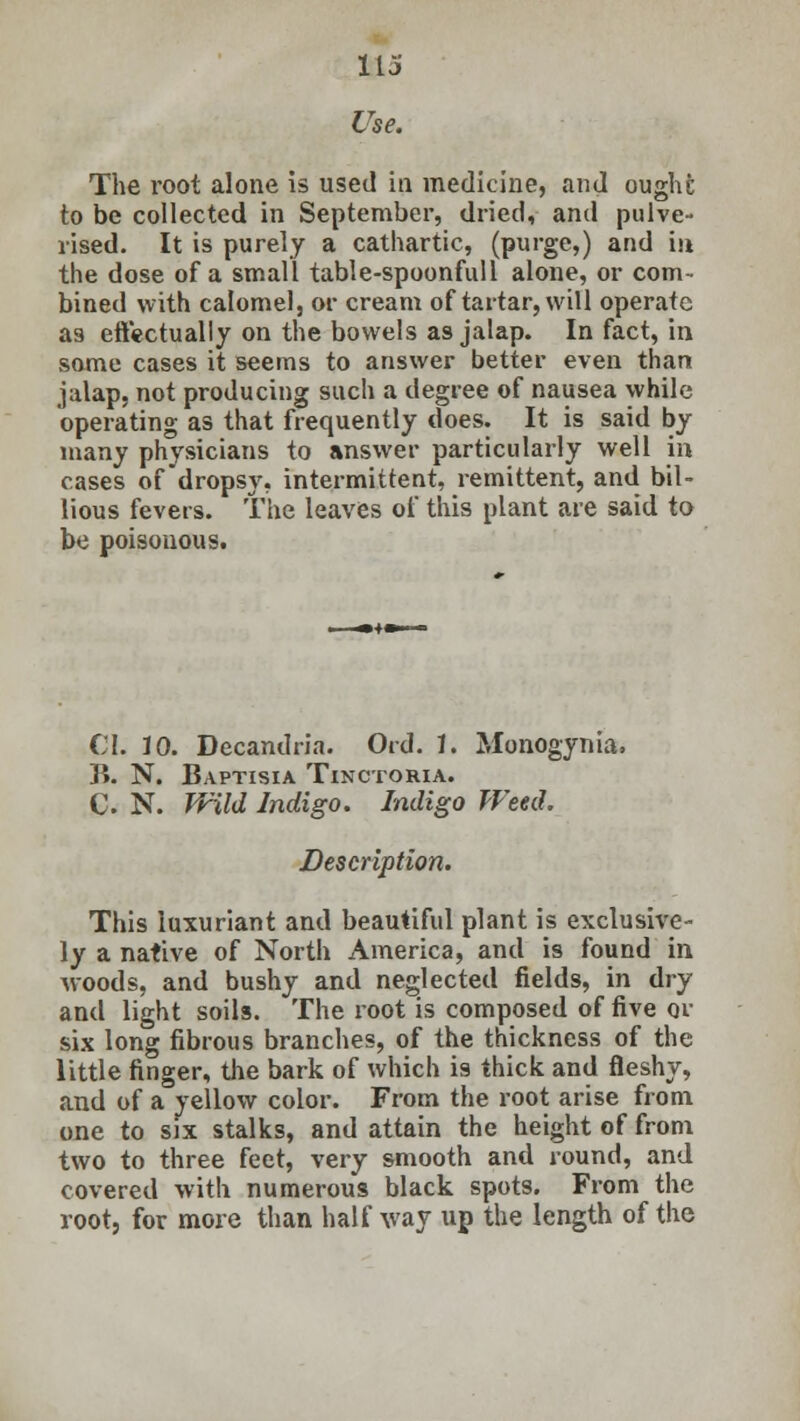 Use, The root alone is used in medicine, and oughi; to be collected in September, dried, and pulve- rised. It is purely a cathartic, (purge,) and in the dose of a small table-spoonfull alone, or com- bined with calomel, or cream of tartar, will operate as effectually on the bowels as jalap. In fact, in some cases it seems to answer better even than jalap, not producing such a degree of nausea while operating as that frequently does. It is said by many physicians to answer particularly well in cases of dropsy, intermittent, remittent, and bil- lious fevers. The leaves of this plant are said to be poisonous. CI. 10. Decandria. Ord. 1. Monogynia. B. N. Baptisia Tinctoria. C. N. Wild Indigo. Indigo Weed. Description. This luxuriant and beautiful plant is exclusive- ly a native of North America, and is found in woods, and bushy and neglected fields, in dry and light soils. The root is composed of five or six long fibrous branches, of the thickness of the little finger, the bark of which is thick and fleshy, and of a yellow color. From the root arise from one to six stalks, and attain the height of from two to three feet, very smooth and round, and covered with numerous black spots. From the root, for more than half way up the length of the