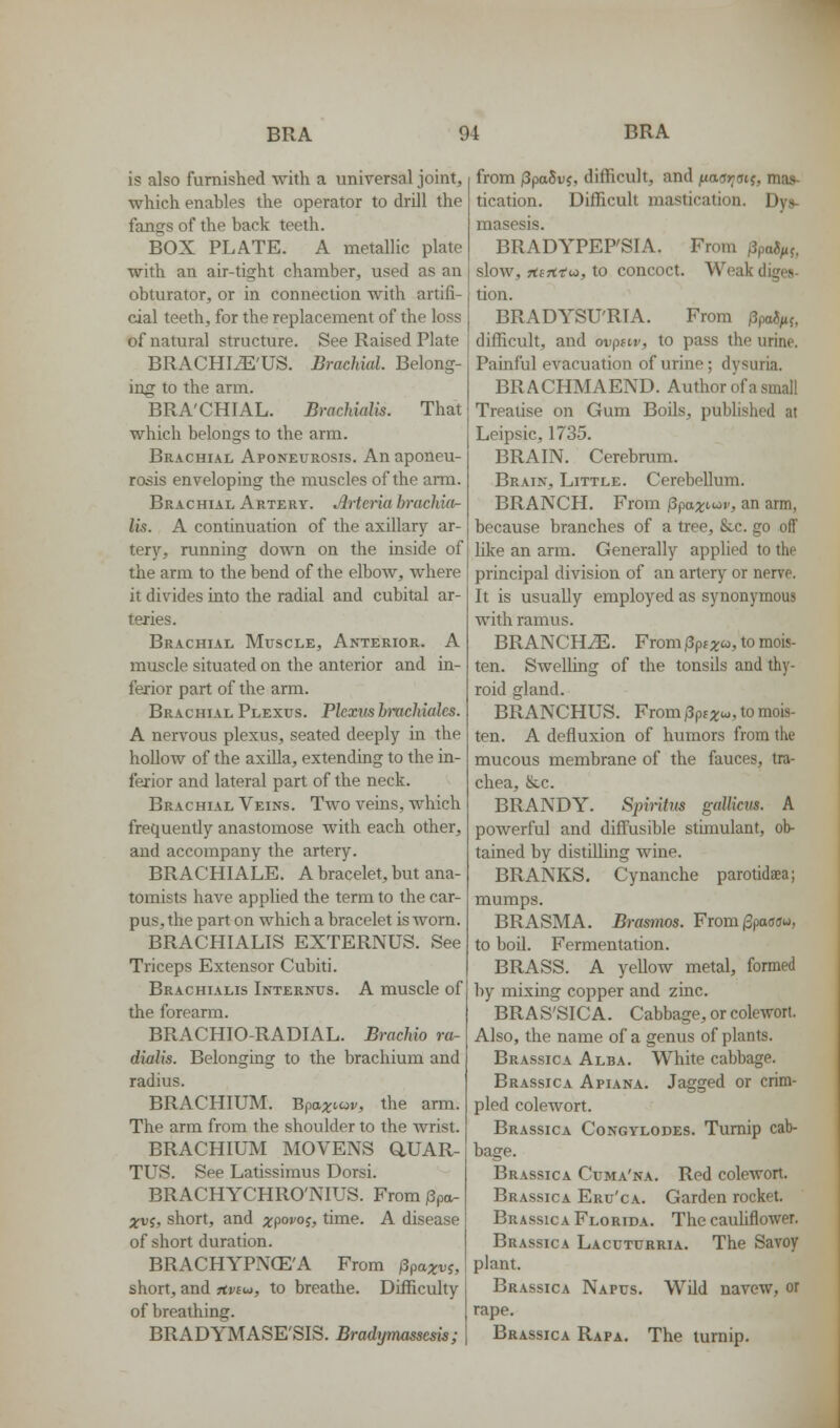 is also furnished with a universal joint, which enables the operator to drill the fangs of the back teeth. BOX PLATE. A metallic plate with an air-tight chamber, used as an obturator, or in connection with artifi- cial teeth, for the replacement of the loss of natural structure. See Raised Plate BRACHI^'US. Brachial. Belong- ing to the arm. BRA'CHI AL. Brachialis. That which belongs to the arm. Brachial Aponeurosis. An aponeu- rosis enveloping the muscles of the arm. Brachial Artery. Artcria hrachior- lis. A continuation of the axillary ar- tery, running down on the inside of the arm to the bend of the elbow, where it divides into the radial and cubital ar- teries. Brachial Muscle, Anterior. A muscle situated on the anterior and in- ferior part of the arm. Brachial Plexus. Plexus binchiales. A nervous plexus, seated deeply in the hollow of the axilla, extending to the in- ferior and lateral part of the neck. Brachial Veins. Two veins, which frequently anastomose with each other, and accompany the artery. BRACHIALE. A bracelet, but ana- tomists have applied the term to the car- pus, the part on which a bracelet is worn. BRACHIALIS EXTERNUS. See Triceps Extensor Cubiti. Brachialis Internus. A muscle of the forearm. BRACHIO-RADIAL. Brachio ra- dialis. Belonging to the brachium and radius. BRACHIUM. Bpax^cov, the arm. The arm from the shoulder to the wrist. BRACHIUM MOVENS aUAR- TUS. See Latissiraus Dorsi. BRACHYCHRO'NIUS. From jSpo- xvi, short, and xpo^°i} time. A disease of short duration. BRACHYPNCE'A From |3pa;j:i^j, short, and Ttvsu, to breathe. Difficulty of breathing. BRADYMASE'SIS. Bradymassem; from jSpaSvj, difficult, and jua^jjuiy, mas- tication. Difficult mastication. Dy»- masesis. BRADYPEP'SIA. From /3pa«^j, slow, TieTitui, to concoct. Weak diges- tion. BRADYSU'RIA. From ppoi^f, difficult, and oi;pfi.»', to pass the urine. Painful evacuation of urine; dysuria. BRACHMAEND. Author of a small Treatise on Gum Boils, published at Leipsic, 1735. BRAIN. Cerebrum. Brain, Little. Cerebellum. BRANCH. From ^paxt^^^v, an arm, because branches of a tree, &c. go off like an arm. Generally applied to the principal division of an artery or nerve. It is usually employed as synonymous with ramus. BRANCHiE. Fromi3pj3;co, to mois- ten. Swelling of the tonsils and thy- roid gland. BRANCHUS. From Pf)cx^> to mois- ten. A defluxion of humors from the mucous membrane of the fauces, tra- chea, &c. BRANDY. Spiritus gallicits. A powerful and diffusible stimulant, ob- tained by distilling wine. BRANKS. Cynanche parotidaea; mumps. BRASMA. Brasrnos. From/Spaffffu, to boil. Fermentation. BRASS. A yellow metal, formed by mixing copper and zinc. BRAS'SICA. Cabbage, or colewort. Also, the name of a genus of plants. Brassica Alba. White cabbage. Brassica Apiana. Jagged or crim- pled colewort. Brassica Congylodes. Turnip cab- bage. Brassica Cuma'na. Red colewort. Brassica Eru'ca. Garden rocket. Brassica Florida. The cauliflower. Brassica Lacuturria. The Savoy plant. Brassica Napus. Wild navew, or rape. Brassica Rapa. The turnip.