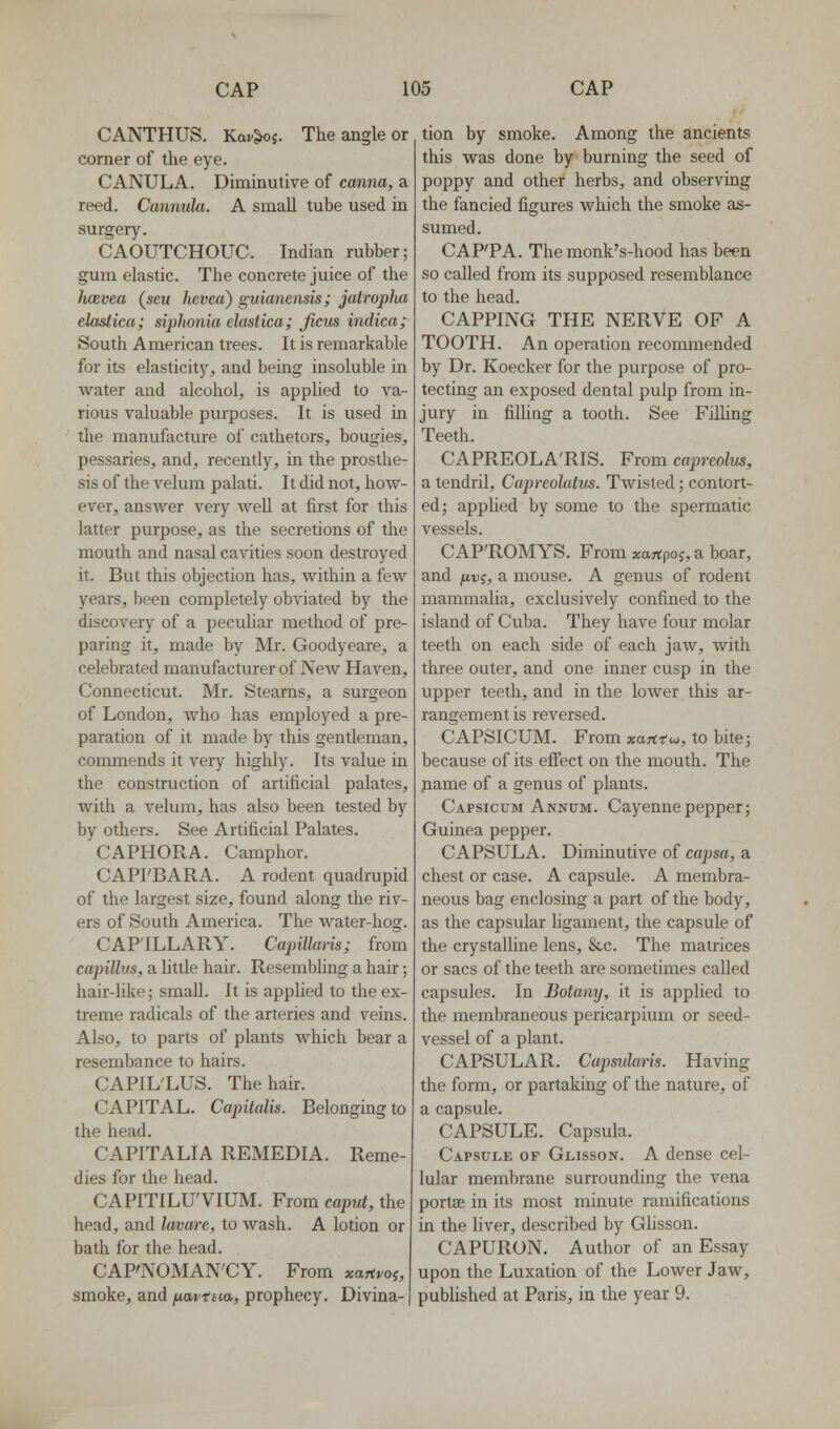 CANTHUS. Kav^s. The angle or corner of the eye. CANULA. Diminutive of canna, a reed. Cannula. A small tube used in surgery. CAOUTCHOUC. Indian rubber; gum elastic. The concrete juice of the hcevea (sew hevea) guianensis; jatropha elastica; siphonia elastica; ficiis indica; South American trees. It is remarkable for its elasticity^ and being insoluble in water and alcohol, is applied to va- rious valuable purposes. It is used in the manufacture of catheters, bougies, pessaries, and, recently, in the prosthe- sis of the velum palati. It did not, how- ever, answer very weU at first for this latter purpose, as the secretions of the mouth and nasal cavities soon destroyed it. But this objection has, within a few years, been completely obviated by the discovery of a peculiar method of pre- paring it, made by Mr. Goodyeare, a celebrated manufacturer of New Haven, Connecticut. Mr. Steams, a surgeon of London, who has employed a pre- paration of it made by this gentleman, commends it very highly. Its value in the construction of artificial palates, with a velum, has also been tested by by others. See Artificial Palates. CAPHORA. Camphor. CAPI'BARA. A rodent quadrupid of the largest size, found along the riv- ers of South America. The water-hog. CAPILLARY. Capillaris; from capiUus, a little hair. Resembhng a hair; hair-like; small. It is applied to the ex- treme radicals of the arteries and veins. Also, to parts of plants which bear a resembance to hairs. CAPIL'LUS. The hair. CAPITAL. Capitalis. Belonging to the head. CAPITALIA REMEDIA. Reme- dies for the head. CAPITILU'VIUM. From caput, the head, and lavare, to wash. A lotion or bath for the head. CAP'NOMAN'CY. From xartvo^, smoke, and fiavtaa, prophecy. Divina- tion by smoke. Among the ancients this was done by burning the seed of poppy and other herbs, and observing the fancied figures which the smoke as- sumed. CAP'PA. The monk's-hood has been so called from its supposed resemblance to the head. CAPPING THE NERVE OF A TOOTH. An operation recommended by Dr. Koecker for the purpose of pro- tecting an exposed dental pulp from in- jury in fining a tooth. See Filhng Teeth. CAPREOLA'RIS. From capreolus, a tendril, Capreolatus. Twisted; contort- ed; appUed by some to the spermatic vessels. CAP'ROMYS. From xartpoj, a boar, and fivi, a mouse. A genus of rodent mammalia, exclusively confined to the island of Cuba. They have four molar teeth on each side of each jaw, with three outer, and one inner cusp in the upper teeth, and in the lower this ar- rangement is reversed. CAPSICUM. From xartT-w, to bite; because of its elfect on the mouth. The fiame of a genus of plants. Capsicum Annum. Cayenne pepper; Guinea pepper. CAPSULA. Diminutive of capsa, a chest or case. A capsule. A membra- neous bag enclosing a part of the body, as the capsular hgament, the capsule of the crystalline lens, &c. The matrices or sacs of the teeth are sometimes called capsules. In Botany, it is applied to the membraneous pericarpium or seed- vessel of a plant. CAPSULAR. Cupsidaris. Having the form, or partaking of the nature, of a capsule. CAPSULE. Capsula. Capsule of Gi-isson. A dense cel- lular membrane surrounding the vena portse in its most minute ramifications in the liver, described by Ghsson. CAPURON. Author of an Essay upon the Luxation of the Lower Jaw, published at Paris, in the year 9.