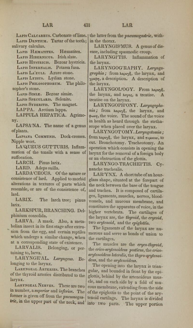 Lapis Calcareus. Carbonate of lime. Lapis Dentium. Tartar of the teeth; salivary calculus. Lapis Hematites. Hfematites. Lapis Hibernicus. Irish slate. Lapis Hystricis. Bezoar hystricis. Lapis Infernalis. Polassa fusa. Lapis La'zuli. Azure stone. Lapis Lydicts. Lydian stone. Lapis Philosophorum. The philo- sopher's stone. Lapis Simije. Bezoar simise. Lapis Specularis. Selenite. Lapis Syderitis. The magnet. LAP'PA. Arctium lappa. LAPPULA HEPATICA. Agrimo- ny. LAPSA'NA. The name of a genus of plants. Lapsana Communis. Dock-cresses. Nipple wort. LA'aUEUS GUT'TURIS. Inflam- mation of the tonsils with a sense of suffocation. LARCH. Pinuslarix. LARD. Adeps suilla. LARDA'CEOUS. Of the nature or consistence of lard. Applied to morbid alterations in textures of parts which resemble, or are of the consistence of, lard. LARIX. The larch tree; larix. LARKSPUR, BRANCHING. Del- phinium consolida. LARVA. A mask. Also, a meta- bolian insect in its first stage after extru- ■ sion from the egg, and certain reptiles which undergo a similar change, when at a corresponding state of existence. LARVALIS. Belonging, or per- taining to, larva. LARYNGE'AL. Laryngem. Be- longing to the larynx. Laryngeal Arteries. The branches of the thyroid arteries distributed to the larynx. Laryngeal Nerves. These are two in number, a superior and inferior. The former is given off from the pneumogas- tric, in the upper part of the neck, and pmus the latter from the pneumogaslric, with- in the thorax. LARYNGIS'MUS. A genus of dis- ease, including spasmodic croup. LARYNGITIS. Inflammation of the larynx. LARYNGOG'RAPHY. Laryngo- grapkia; from /.apvyl, the larynx, and Ypa^tj, a description. A description of the larynx. LARYNGOL'OGY. From Tiapryl, the larynx, and %oyoi, a treatise. A treatise on the larynx. LARYNGOPH'ONY. Laryngopho- nia; from jiapvyl, the larynx, and ^uivfi, the voice. The sound of the voice in health as heard through the stetha- scope when placed over the larynx. LARYNGOT'OMY. Laryngotomia ; from Jiapuyl, the larynx, and 'd^jLvnv, to cut. Bronchotomy. Tracheotomy. An operation which consists in opening the larynx for the removal of a foreign body or an obstruction of the glottis. LARYNGO-TRACHEI'TIS. Cy- nanche tracheahs. LARYNX. A short tube of an hour- glass shape, situated at the forepart of the neck between the base of the tongue and trachea. It is composed of cartila- ges, ligaments, muscles, nerves, blood- vessels, and mucous membrane, and constitutes the apparatus of voice, in the higher vertebrata. The cartilages of the larynx are, the thyroid, the crycoid, two arytenoid, and the epiglottis. The ligaments of the larynx are nu- merous and serve as bonds of union to the cartilages. The muscles are the cryco-thyroid, the crico-arytenoidem posticus, the crico- ai-ytenoideus lateralis, the tkyro-qrytenoi- deus, and the urytenoideus. The opening into the larynx is trian- gular, and bounded in front by the epi- glottis, behind by the artenoideus mus- cle, and on each side by a fold of mu- cous membrane, extending from the side of the epiglottis to the point of the ary- tenoid cartilage. The larynx is divided into two parts. The upper portion