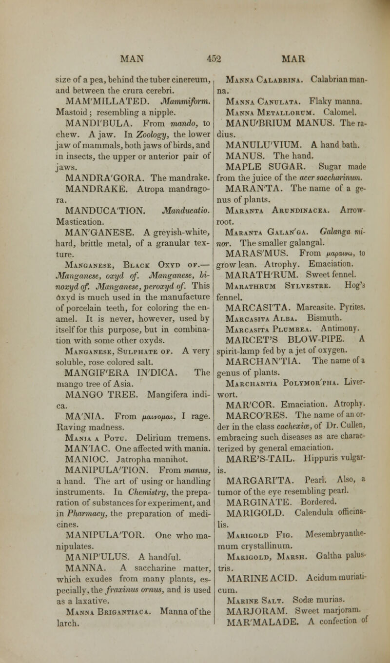 size of a pea, behind the tuber cinereum, and between the crura cerebri. MAM'MILLATED. Mammifoiin. Mastoid; resembUng a nipple. MANDI'BULA. From mando, to chew. A jaw. In Zoology, the lower jawof mammals, both jaws of birds, and in insects, the upper or anterior pair of jaws. MANDRA'GORA. The mandrake. MANDRAKE. Atropa mandrago- ra. MANDUCA'TION. Manducatio. Mastication. MAN'GANESE. A greyish-white, hard, brittle metal, of a granular tex- ture. Manganese, Black Oxyd of.— Manganese, oxyd of. Manganese, hi- noxyd of. Manganese, peroxyd of. This dxyd is much used in the manufacture of porcelain teeth, for coloring the en- amel. It is never, however, used by itself for this purpose, but in combina- tion with some other oxyds. Manganese, Sulphate of. A very soluble, rose colored salt. MANGIF'ERA IN'DICA. The mango tree of Asia. MANGO TREE. Mangifera indi- ca. MA'NIA. From fiMvofiM, I rage. Raving madness. Mania a Potu. Delirium tremens. MAN'IAC. One affected with mania. MANIOC. Jatropha manihot. MANIPULATION. From manus, a hand. The art of using or handling instruments. In Chemistry, the prepa- ration of substances for experiment, and in Plvarmacy, the preparation of medi- cines. MANIPULATOR. One who ma- nipulates. MANIP'ULUS. A handful. MANNA. A saccharine matter, which exudes from many plants, es- pecially, the/mxi/itw arnus, and is used as a laxative. Manna Brigantiaca. Manna of the larch. Manna Calabrina, Calabrian man- na. Manna Canulata. Flaky manna. Manna Metallorum. Calomel. MANU'BRIUM MANUS. The ra- dius. MANULU'VIUM. A hand bath. MANUS. The hand. MAPLE SUGAR. Sugar made from the juice of the acer saccharimm. MARAN'TA. The name of a ge- nus of plants. Maranta Ardndinacea. Arrow- root. Maranta Galan'ga. Galanga mi- nm: The smaller galangal. MARAS'MUS. From juaptuvu, to grow lean. Atrophy. Emaciation. MARATH'RUM. Sweet fennel. Marathrum Sylvestre. Hog's fennel. MARCASITA. Marcasite. Pyrites. Marcasita Alba. Bismuth. Marcasita Plumbea. Antimony. MARCET'S BLOW-PIPE. A spirit-lamp fed by a jet of oxygen. MARCHAN'TIA. The name of a genus of plants. Marchantia Polymor'pha. Liver- wort. MAR'COR. Emaciation. Atrophy. MARCO'RES. The name of an or- der in the class cachexice, of Dr. Cullen, embracing such diseases as are charac- terized by general emaciation. MARE'S-TAIL. Hippuris vulgar- is. MARGARITA. Pearl. Also, a tumor of the eye resembling pearl. MARGIN ATE. Bordered. MARIGOLD. Calendula officina- lis. Marigold Fig. Mesembryanthe- mum crystallinum. Marigold, Marsh. Galtha palus- tris. MARINE ACID. Acidum muriati- cum. Marine Salt. Sodae murias. MARJORAM. Sweet marjoram. MAR'MALADE. A confection of