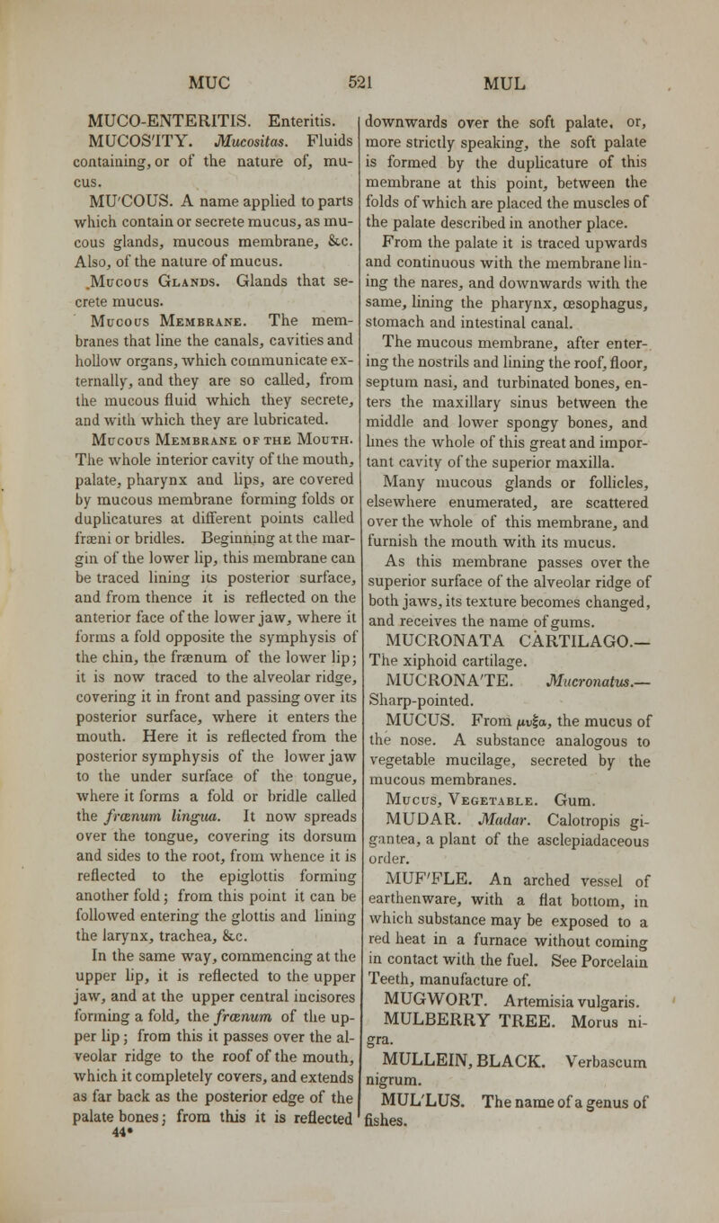 MUCO-ENTERITIS. Enteritis. MUCOS'lTY. Mucositas. Fluids containing, or of the nature of, mu- cus. MU'COUS. A name applied to parts which contain or secrete mucus, as mu- cous glands, mucous membrane, &c. Also, of the nature of mucus. .Mucous Glands. Glands that se- crete mucus. Mucous Membrane. The mem- branes that line the canals, cavities and hollow organs, Avhich communicate ex- ternally, and they are so called, from the mucous fluid which they secrete, and with which they are lubricated. Mucous Membrane of the Mouth. The Avhole interior cavity of the mouth, palate, pharynx and lips, are covered by mucous membrane forming folds or duplicatures at different points called frasni or bridles. Beginning at the mar- gin of the lower lip, this membrane can be traced lining its posterior surface, and from thence it is reflected on the anterior face of the lower jaw, where it forms a fold opposite the symphysis of the chin, the fraenum of the lower lip; it is now traced to the alveolar ridge, covering it in front and passing over its posterior surface, where it enters the mouth. Here it is reflected from the posterior symphysis of the lower jaw to the under surface of the tongue, where it forms a fold or bridle called the frcenum lingua. It now spreads over the tongue, covering its dorsum and sides to the root, from whence it is reflected to the epiglottis forming another fold; from this point it can be followed entering the glottis and lining the larynx, trachea, &c. In the same way, commencing at the upper lip, it is reflected to the upper jaw, and at the upper central incisores forming a fold, the frcenum of the up- per lip; from this it passes over the al- veolar ridge to the roof of the mouth, which it completely covers, and extends as far back as the posterior edge of the palate bones; from this it is reflected 44. downwards over the soft palate, or, more strictly speaking, the soft palate is formed by the duplicature of this membrane at this point, between the folds of which are placed the muscles of the palate described in another place. From the palate it is traced upwards and continuous with the membrane lin- ing the nares, and downwards with the same, lining the pharynx, oesophagus, stomach and intestinal canal. The mucous membrane, after enter-, ing the nostrils and lining the roof, floor, septum nasi, and turbinated bones, en- ters the maxillary sinus between the middle and lower spongy bones, and hnes the whole of this great and impor- tant cavity of the superior maxilla. Many nmcous glands or follicles, elsewhere enumerated, are scattered over the whole of this membrane, and furnish the mouth with its mucus. As this membrane passes over the superior surface of the alveolar ridge of both jaws, its texture becomes changed, and receives the name of gums. MUCRONATA cartilago.— The xiphoid cartilage. MUCRONA'TE. Mucronatus.— Sharp-pointed. MUCUS. From ftv^a, the mucus of the nose. A substance analogous to vegetable mucilage, secreted by the mucous membranes. Mucus, Vegetable. Gum. MUDAR. Madar. Calotropis gi- gantea, a plant of the asclepiadaceous order. MUF'FLE. An arched vessel of earthenware, with a flat bottom, in which substance may be exposed to a red heat in a furnace without coming in contact with the fuel. See Porcelain Teeth, manufacture of. MUGWORT. Artemisia vulgaris. MULBERRY TREE. Morus ni- gra. MULLEIN, BLACK. Verbascum nigrum. MUL'LUS. The name of a genus of fishes.
