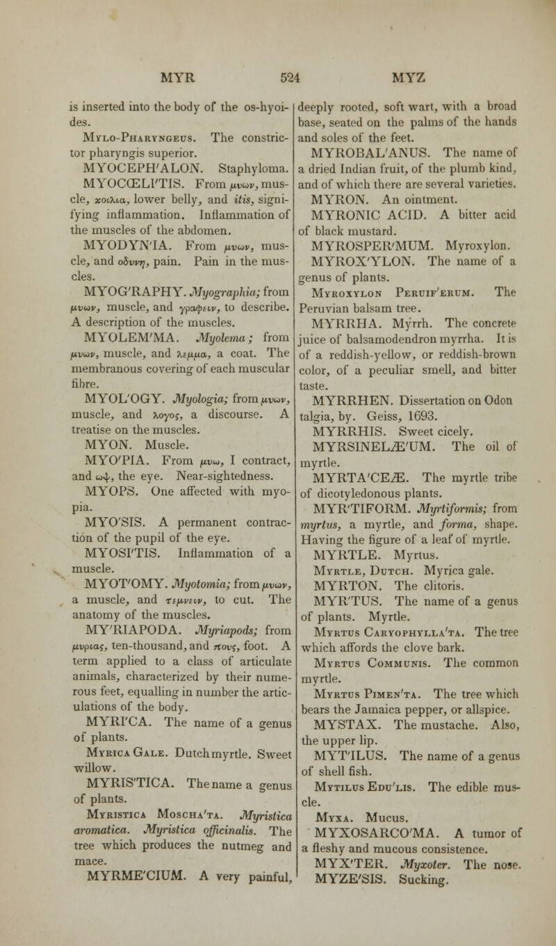 is inserted into the body of the os-hyoi- des. Mvlo-Pharyngeus. The constric- tor pharyngis superior. MYOCEPH'ALON. Staphyloma. MYOCOELl'TIS. From fivo^v, mus- cle, xocXm, lower belly, and itis, signi- fying inflammation. Inflammation of the muscles of the abdomen. MYODYN'IA. From ^lvo,v, mus- cle, and oSvvri, pain. Pain in the mus- cles. MYOG'RAPHY. Myographia; from iuvwv, muscle, and ypa^nv, to describe. A description of the muscles. MYOLEM'MA. Myolema; from fivuv, muscle, and xijxfia, a coat. The membranous covering of each muscular fibre. MYOL'OGY. Myologia; from ^vi^v, muscle, and Xoyoj, a discourse. A treatise on the muscles. MYON. Muscle. MYO'PIA. From jwuw, I contract, and w^, the eye. Near-sightedness. MYOPS, One affected with myo- pia. MYO'SIS. A permanent contrac- tion of the pupil of the eye. MYOSI'TIS. Inflammation of a muscle. MYOT'OMY. Myotomia; from^uviov, a muscle, and tefivnv, to cut. The anatomy of the muscles. MY'RIAPODA. Myriapods; from ftvpiaj, ten-thousand, and rtovj, foot. A term applied to a class of articulate animals, characterized by their nume- rous feet, equalling in number the artic- ulations of the body. MYRI'CA. The name of a genus of plants. MyricaGale. Dutchmyrtle. Sweet willow. MYRIS'TICA. The name a genus of plants. Myristica Moscha'ta. Myristica aromatica. Myristica officinalis. The tree which produces the nutmeg and mace. MYRME'CIUM. A very painful, deeply rooted, soft wart, with a broad base, seated on the palms of the hands and soles of the feet. MYROBAL'ANUS. The name of a dried Indian fruit, of the plumb kind, and of which there are several varieties. MYRON. An ointment. MYRONIC ACID. A bitter acid of black mustard. MYROSPER'MUM. Myroxylon. MYROX'YLON. The name of a genus of plants. Myroxylon Peruif'erum. The Peruvian balsam tree. MYRRHA. Myrrh. The concrete juice of balsamodendron myrrha. It is of a reddish-yellow, or reddish-brown color, of a peculiar smell, and bitter taste. MYRRHEN. Dissertation on Odon talgia, by. Geiss, 1693. MYRRHIS. Sweet cicely. MYRSINEL^'UM. The oil of myrtle. MYRTA'CE^. The myrtle tribe of dicotyledonous plants. MYR'TIFORM. Myrtiformis; from myrtus, a myrtle, and forma, shape. Having the figure of a leaf of myrtle. MYRTLE. Myrtus. Myrtle, Dutch. Myrica gale. MYRTON. The clitoris. MYR'TUS. The name of a genus of plants. Myrtle. Myrtus Caryophylla'ta. The tree which aff'ords the clove bark. Myrtus Communis. The common myrtle. Myrtus Pimen'ta. The tree which bears the Jamaica pepper, or allspice. MYSTAX. The mustache. Also, the upper lip. MYT'ILUS. The name of a genus of shell fish. Mytilus Edu'lis. The edible mus- cle. Myxa. Mucus. MYXOSARCO'MA. A tumor of a fleshy and mucous consistence. MYX'TER. Myxoter. The nose. MYZE'SIS. Sucking.