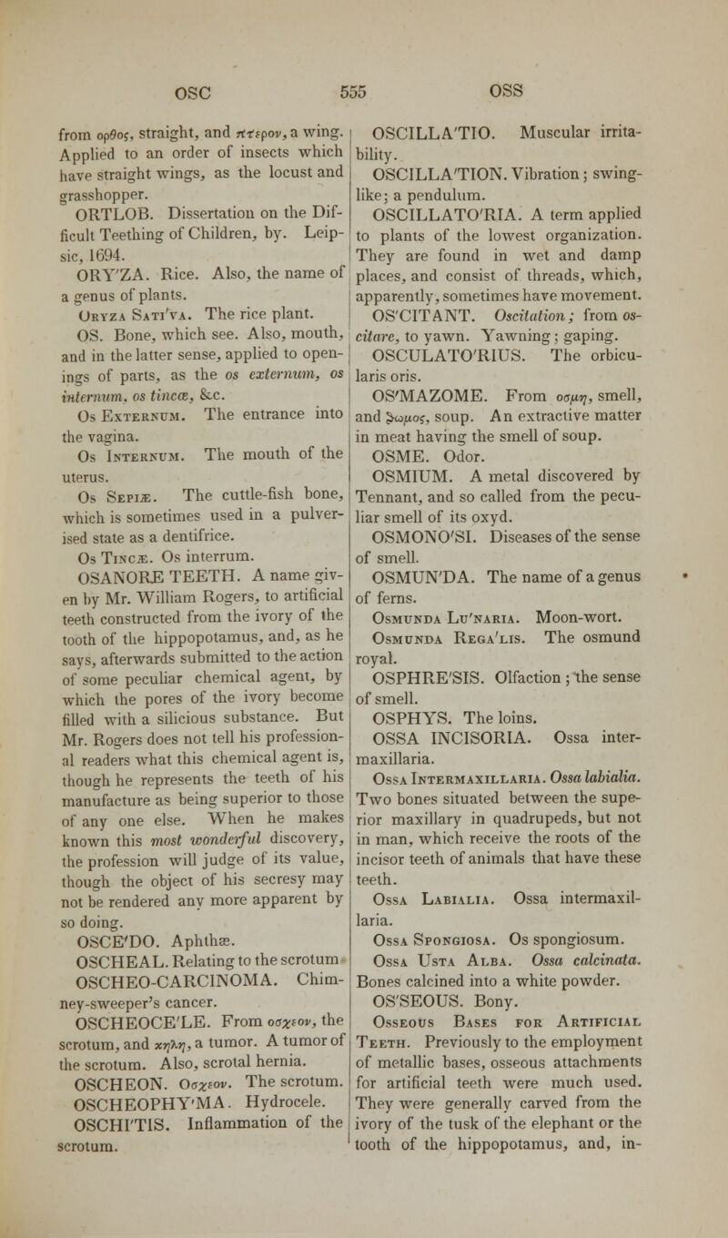 from op9oi, straight, and fttipov, a wing. Applied to an order of insects which have straight wings, as the locust and grasshopper. ORTLOB. Dissertation on the Dif- ficult Teething of Children, by. Leip- sic, 1694. ORY'ZA. Rice. Also, the name of a genus of plants. Uryza Sati'va. The rice plant. OS. Bone, which see. Also, mouth, and in the latter sense, applied to open- ings of parts, as the os externum, os xHtermim, os titicce, &c. Os Externum. The entrance into the vagina. Os Internum. The mouth of the uterus. Os SEPia:. The cuttle-fish bone, which is sometimes used in a pulver- ised state as a dentifrice. Os TiNCiE. Os interrum. OSANORE TEETH. A name giv- en by Mr. William Rogers, to artificial teeth constructed from the ivory of the tooth of the hippopotamus, and, as he says, afterwards submitted to the action of some peculiar chemical agent, by which the pores of the ivory become filled with a silicious substance. But Mr. Rogers does not tell his profession- al readers what this chemical agent is, though he represents the teeth of his manufacture as being superior to those of any one else. When he makes known this most wonderful discovery, the profession will judge of its value, though the object of his secresy may not be rendered any more apparent by so doing. OSCE^DO. Aphthas. OSCHE AL. Relating to the scrotum - OSCHEO-CARCINOMA. Chim- ney-sweeper's cancer. OSCHEOCE'LE. From oox^ov, the scrotum, and xr;%r], a tumor. A tumor of the scrotum. Also, scrotal hernia. OSCHEON. Oaxiov. The scrotum. OSCHEOPHY'MA. Hydrocele. OSCHI'TIS. Inflammation of the scrotum. OSCILLA'TIO. Muscular irrita- bility. OSCILLATION. Vibration; swing- like; a pendulum. OSCILLATO'RIA. A term applied to plants of the lowest organization. They are found in wet and damp places, and consist of threads, which, apparently, sometimes have movement. OS'CITANT. Osciiation; from os- citare, to yawn. Yawning; gaping. OSCULATO'RIUS. The orbicu- laris oris. OS'MAZOME. From oofiy;, smell, and ^fjLo^, soup. An extractive matter in meat having the smell of soup. OSME. Odor. OSMIUM. A metal discovered by Tennant, and so called from the pecu- liar smell of its oxyd. OSMONO'SI. Diseases of the sense of smell. OSMUN'DA. The name of a genus of ferns. OsMUNDA Lu'NARiA. Moon-wort. OsMUNDA Rega'lis. The osmund royal. OSPHRE'SIS. Olfaction ; the sense of smell. OSPHYS. The loins. OSSA INCISORIA. Ossa inter- maxillaria. OssA Intermaxillaria. Ossa labialia. Two bones situated between the supe- rior maxillary in quadrupeds, but not in man, which receive the roots of the incisor teeth of animals that have these teeth. OssA Labialia. Ossa intermaxil- laria. OssA Spongiosa. Os spongiosum. OssA UsTA Alba. Ossa calcinata. Bones calcined into a white powder. OS'SEOUS. Bony. Osseous Bases for Artificial Teeth. Previously to the employment of metallic bases, osseous attachments for artificial teeth Avere much used. They were generally carved from the ivory of the tusk of the elephant or the tooth of the hippopotamus, and, in-