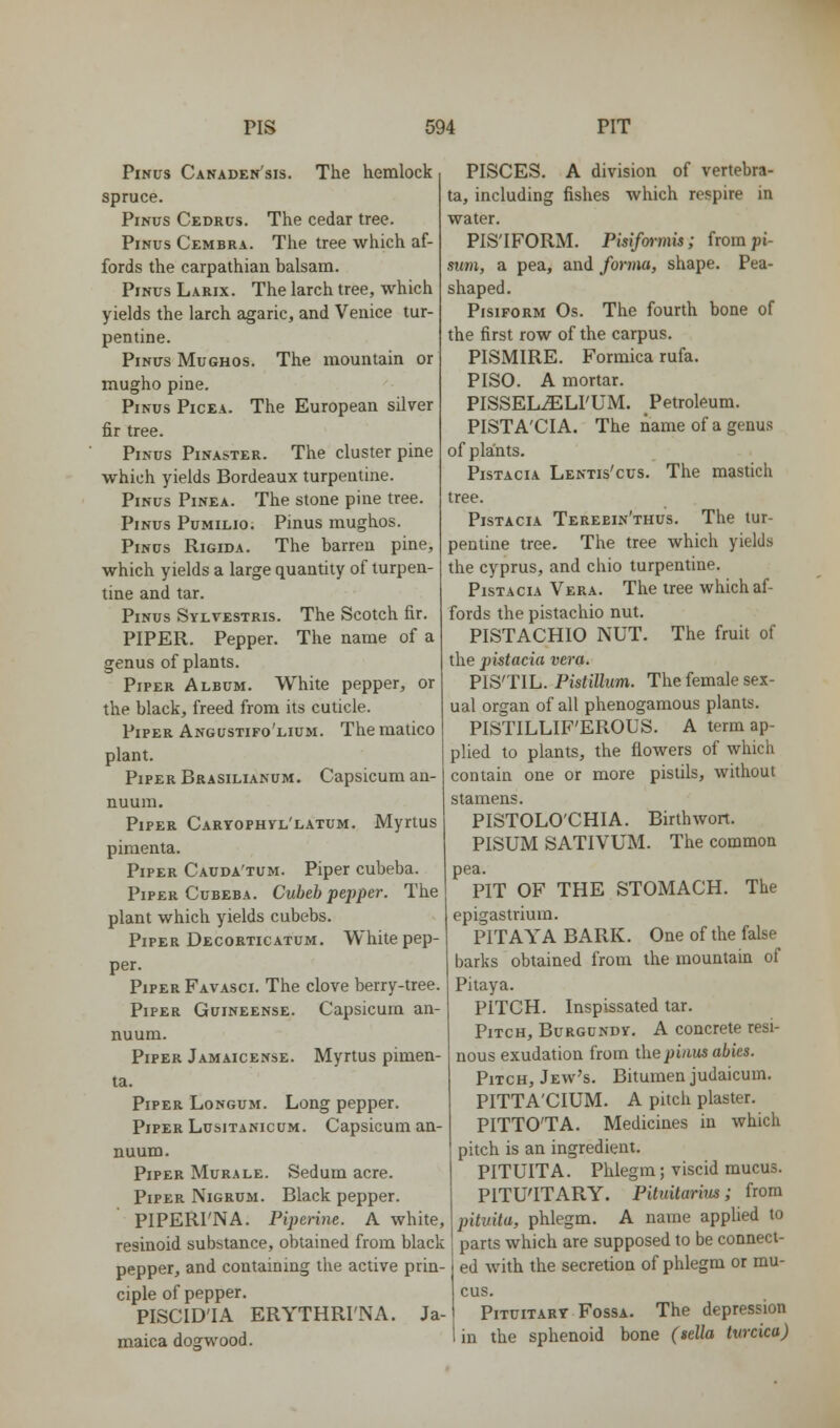 PiNus Canaden'sis. The hemlock spruce. PiNus Cedrus. The cedar tree. PiNus Cembra. The tree which af- fords the Carpathian balsam. PiNUs Larix. The larch tree, which yields the larch agaric, and Venice tur- pentine. PiNUS MuGHOs. The mountain or mugho pine. PiNus Picea. The European silver fir tree. PiNus Pinaster. The cluster pine which yields Bordeaux turpentine. PiNus PiNEA. The stone pine tree. PiNus PuMiLio, Pinus mughos. PiNUs RiGiDA. The barren pine, which yields a large quantity of turpen- tine and tar. Pinus Sylvestris. The Scotch fir. PIPER. Pepper. The name of a genus of plants. Piper Album. White pepper, or the black, freed from its cuticle. Piper Angustifo'lium. Thematico plant. Piper Brasilianum. Capsicum an- nuum. Piper Caryophyl'latum. Myrtus piraenta. Piper Cauda'tum. Piper cubeba. Piper CuBEBA. Cubeb pepper. The plant which yields cubebs. Piper Decorticatum. White pep- per. Piper Favasci. The clove berry-tree. Piper Guineense. Capsicum an- nuum. Piper Jamaicense. Myrtus pimen- ta. Piper Longum. Long pepper. Piper LusiTANicuM. Capsicum an- nuum. Piper Murale. Sedum acre. Piper Nigrum. Black pepper. PIPERl'NA. Piperine. A white, resinoid substance, obtained from black pepper, and containing the active prin- ciple of pepper. PISCID'IA ERYTHRI'NA. Ja- maica dogwood. PISCES. A division of vertebra- ta, including fishes which respire in water. PIS'IFORM. Pisif&rmis; frompi- sum, a pea, and forma, shape. Pea- shaped. Pisiform Os. The fourth bone of the first row of the carpus. PISMIRE. Formica rufa. PISO. A mortar. PISSELiELFUM. Petroleum. PISTA'CIA. The name of a genus of plants. PisTACiA Lentis'cus. The mastich tree. PisTACiA Terebin'thus. The tur- pentine tree. The tree which yields the Cyprus, and chio turpentine. PisTACiA Vera. The tree which af- fords the pistachio nut. PISTACHIO NUT. The fruit of the pistacia vera. PIS'TIL. Pistillum. The female sex- ual organ of all phenogamous plants. PISTILLIF'EROUS. A term ap- plied to plants, the flowers of which contain one or more pistils, without stamens. PISTOLO'CHIA. Birthwort. PISUM SATIVUM. The common pea. The PIT OF THE STOMACH, epigastrium. PITAYA BARK. One of the false barks obtained from the mountain of Pitaya. PITCH. Inspissated tar. Pitch, Burgundy. A concrete resi- nous exudation from t\\e pinus abies. Pitch, Jew's. Bitumen judaicum. PITTA'CIUM. A pitch plaster. PITTO'TA. Medicines in which pitch is an ingredient. PITUITA. Phlegm; viscid mucus. PITU'ITARY. Pituitarius; from Ipituita, phlegm. A name applied to parts which are supposed to be connect- ed with the secretion of phlegm or mu- cus. Pituitary Fossa. The depression 1 in the sphenoid bone (sella turcica)