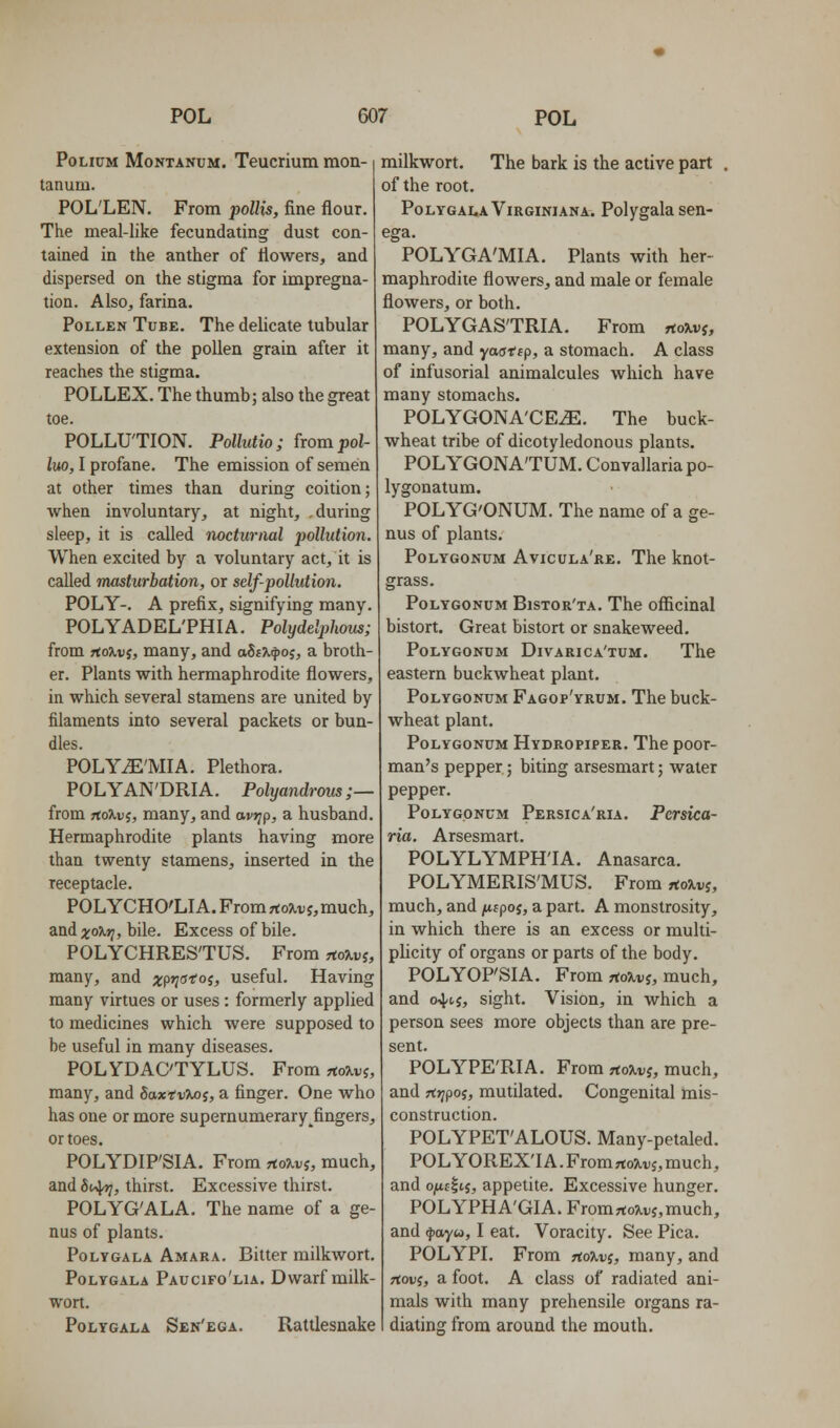 PoLiuM MoNTANuM. Teucrium mon- tanum. POL'LEN. From pollis, fine flour. The meal-like fecundating dust con- tained in the anther of flowers, and dispersed on the stigma for impregna- tion. Also, farina. Pollen Tube. The delicate tubular extension of the pollen grain after it reaches the stigma. POLLEX. The thumb; also the great toe. POLLU'TION. Pollutio; from pol- luo, I profane. The emission of semen at other times than during coition; when involuntary, at night, , during sleep, it is called nocturnal pollution. When excited by a voluntary act, it is called masturhation, or self-pollution. POLY-. A prefix, signifying many. POLYADEL'PHIA. Polydelphom; from rtoXvi, many, and aSsX^oj, a broth- er. Plants with hermaphrodite flowers, in which several stamens are united by filaments into several packets or bun- dles. POLY^'MIA. Plethora. POLYAN'DRIA. Polyandrms ;— from TtoXvi, many, and avrjp, a husband. Hermaphrodite plants having more than twenty stamens, inserted in the receptacle. POLYCHO'LIA, From^o3Lt)j,much, and xo'Kri, bile. Excess of bile. POLYCHRES'TUS. From rtoxvj, many, and x9*!<^'foi> useful. Having many virtues or uses : formerly applied to medicines which were supposed to be useful in many diseases. POLYDAC'TYLUS. From rtoTivj, many, and SaxtvTuos, a finger. One who has one or more supernumerary^fingers, or toes. POLYDIPSIA. From noXvi, much, and Si^, thirst. Excessive thirst. POLYG'ALA. The name of a ge- nus of plants. PoLYGALA Amara. Bitter milkwort. PoLYGALA Paucifo'lia. Dwarf milk- wort. PoLYGALA Sen'ega. Rattlesnake milkwort. The bark is the active part . of the root. PolygalaVirginiana. Polygala sen- ega. POLYGA'MIA. Plants with her- maphrodite flowers, and male or female flowers, or both. POLYGAS'TRIA. From rtojivj, many, and yaatip, a stomach. A class of infusorial animalcules which have many stomachs. POLYGONA'CE^. The buck- wheat tribe of dicotyledonous plants. POLYGONA'TUM. Convallaria po- lygonatum. POLYG'ONUM. The name of a ge- nus of plants. Polygonum Avicula're. The knot- grass. Polygonum Bistor'ta. The officinal bistort. Great bistort or snakeweed. Polygonum Divarica'tum. The eastern buckwheat plant. Polygonum Fagop'yrum. The buck- wheat plant. Polygonum Hydropiper. The poor- man's pepper; biting arsesmart; water pepper. Polygonum Persica'ria. Persica- ria. Arsesmart. POLYLYMPHTA. Anasarca. POLYMERIS'MUS. From TtoXvi, much, and jufpoj, a part. A monstrosity, in which there is an excess or multi- plicity of organs or parts of the body. POLYOPSIA. From noXvi, much, and o^cj, sight. Vision, in which a person sees more objects than are pre- sent. POLYPE'RIA. From noXvi, much, and rt»;poj, mutilated. Congenital mis- construction. POLYPET'ALOUS. Many-petaled. POL YOREX'I A. From rtojivj, much, and 0|U£|i5, appetite. Excessive hunger. POLYPHA'GIA. FromrtoTLvj,much, and fayw, I eat. Voracity. See Pica. POLYPI. From rtoXvi, many, and rtovj, a foot. A class of radiated ani- mals with many prehensile organs ra- diating from around the mouth.