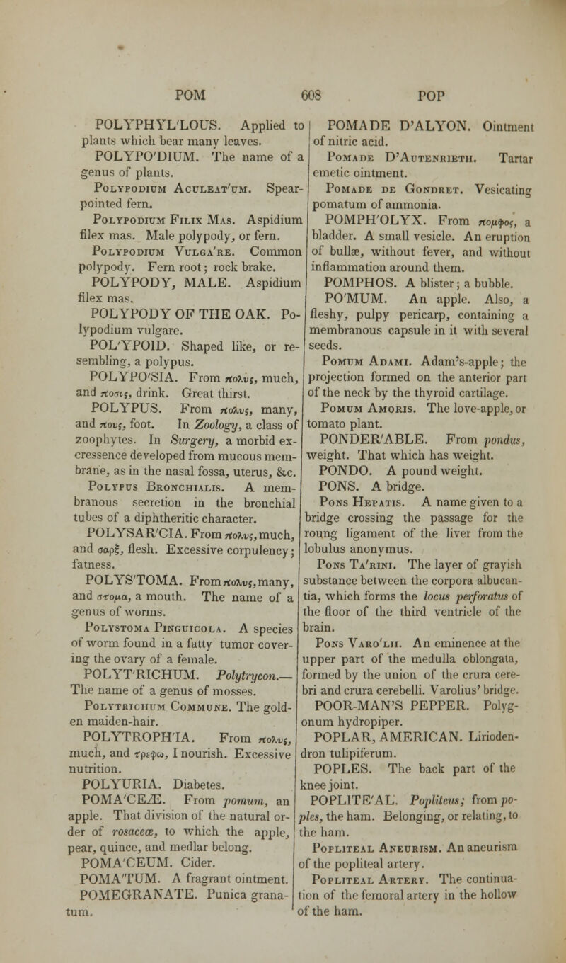 POLYPHYL'LOUS. Applied to plants which bear many leaves. POLYPO'DIUM. The name of a genus of plants. PoLYPODiuM Accleat'cm. Spear- pointed fern. PoLYPODiUM FiLix Mas. Aspidlum filex mas. Male polypody, or fern. PoLYPODiuM Vulga're. Common polypody. Fern root; rock brake. POLYPODY, MALE. Aspidium filex mas. POLYPODY OF THE OAK. Po- lypodium vulgare. POL'YPOID. Shaped like, or re- sembling, a polypus. POLYPO'SIA. From r(oT,vs, much, and rtoaii, drink. Great thirst. POLYPUS. From aojivj, many, and rtoDj, foot. In Zoology, a class of zoophytes. In Surgery, a morbid ex- cressence developed from mucous mem- brane, as in the nasal fossa, uterus, &,c. Polypus Bronchialis. A mem- branous secretion in the bronchial tubes of a diphtheritic character. POLYSAR'CIA. From rtojii;j,much, and ffapl, flesh. Excessive corpulency; fatness. POLYS'TOMA. Fromrto9it,j,many, and aroixa, a mouth. The name of a genus of worms. PoLYSTOMA PiNGUicoLA. A species of worm found in a fatty tumor cover- ing the ovary of a female. POLYT'RICHUM. Polytrycon.— The name of a genus of mosses. PoLYTEicHUM CoMMUNE. The gold- en maiden-hair. POLYTROPH'IA. From noj^vi, much, and tps^, I nourish. Excessive nutrition. POLYURIA. Diabetes. POMA'CE^. From pomum, an apple. That division of the natural or- der of rosacece, to which the apple, pear, quince, and medlar belong, POMA'CEUM. Cider. POMATUM. A fragrant ointment. POMEGRANATE. Punica grana- tuni. POMADE D'ALYON. Ointment of nitric acid. Pomade D'Autenrieth. Tartar emetic ointment. Pomade de Gondret. Vesicating pomatum of ammonia. POMPH'OLYX. From ^o^u^oj, a bladder. A small vesicle. An eruption of bullae, without fever, and without inflammation around them. POMPHOS. A blister; a bubble. PO'MUM. An apple. Also, a fleshy, pulpy pericarp, containing a membranous capsule in it with several seeds. PoMUM Adami. Adam's-apple; the projection formed on the anterior part of the neck by the thyroid cartilage. Pomum Amoris. The love-apple, or tomato plant. PONDER'ABLE. From pondus, weight. That which has weight. PONDO. A pound weight. PONS. Abridge. Pons Hepatis. A name given to a bridge crossing the passage for the roung ligament of the liver from the lobulus anonymus. Pons Ta'rini. The layer of grayish substance between the corpora albucan- tia, which forms the locus perforatus of the floor of the third ventricle of the brain. Pons Varo'lii. An eminence at the upper part of the medulla oblongata, formed by the union of the crura cere- bri and crura cerebelli. Varolius' bridge. POOR-MAN'S PEPPER. Polyg- onum hydropiper. POPLAR, AMERICAN. Lirioden- dron tulipiferum. POPLES. The back part of the knee joint. POPLITE'AL. Poplileus; (wmpo- ples, the ham. Belonging, or relating, to the ham. Popliteal Aneurism. An aneurism of the popliteal artery. Popliteal Artery. The continua- tion of the femoral artery in the hollow of the ham.