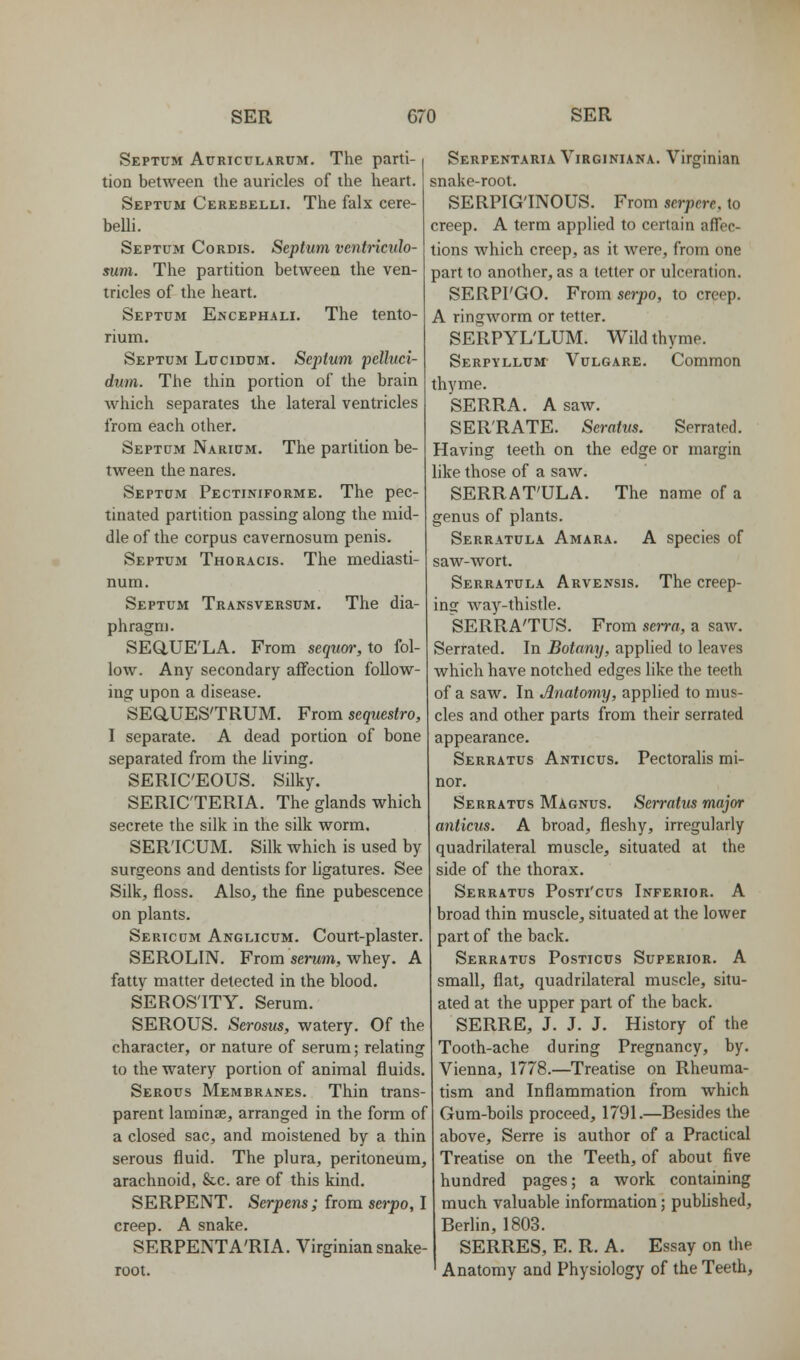 Septum Auricularum. The parti- tion between the auricles of the heart. Septum Cerebelli. The falx cere- belli. Septum Cordis. Septum ventricido- sum. The partition between the ven- tricles of the heart. Septum Encephali. The tento- rium. Septum Lucidum. Septum pclluci- dum. The thin portion of the brain which separates the lateral ventricles from each other. Septum Narium. The partition be- tween the nares. Septum Pectiniforme. The pec- tinated partition passing along the mid- dle of the corpus cavernosum penis. Septum Thoracis. The mediasti- num. Septum Transversum. The dia- phragm. SEaUE'LA. From sequor, to fol- low. Any secondary affection follow- ing upon a disease. SEaUES'TRUM. From sequestra, I separate. A dead portion of bone separated from the living. SERICEOUS. Silky. SERIC'TERIA. The glands which secrete the silk in the silk worm, SER'ICUM. Silk which is used by surgeons and dentists for ligatures. See Silk, floss. Also, the fine pubescence on plants. Sertcum Anglicum. Court-plaster. SEROLIN. From serum, whey. A fatty matter detected in the blood. SEROS'ITY, Serum. SEROUS. Serosus, watery. Of the character, or nature of serum; relating to the watery portion of animal fluids. Serous Membranes. Thin trans- parent laminae, arranged in the form of a closed sac, and moistened by a thin serous fluid. The plura, peritoneum, arachnoid, &c. are of this kind. SERPENT. Serpens; from serpo, I creep. A snake. SERPENTA'RIA. Virginian snake- root. Serpentaria Virginiana. Virginian snake-root. SERPIGINOUS. From serpere, to creep. A term applied to certain affec- tions which creep, as it were, from one part to another, as a tetter or ulceration. SERPI'GO. From serpo, to creep. A ringworm or tetter. SERPYL'LUM. Wild thyme. Serpyllum Vulgare. Common thyme. SERRA. A saw. SER'RATE. Seratus. Serrated. Having teeth on the edge or margin like those of a saw. SERRAT'ULA. The name of a genus of plants. Serratula Amara. A species of saw-wort. Serratula Arvensis. The creep- ins way-thistle. SERRA'TUS. From serra, a saw. Serrated. In Botany, applied to leaves Avhich have notched edges like the teeth of a saw. In Anatomy, applied to mus- cles and other parts from their serrated appearance. Serratus Anticus. Pectoralis mi- nor. Serratus Magnus. Serratus major anticus. A broad, fleshy, irregularly quadrilateral muscle, situated at the side of the thorax. Serratus Posti'cus Inferior. A broad thin muscle, situated at the lower part of the back. Serratus Posticus Superior. A small, flat, quadrilateral muscle, situ- ated at the upper part of the back. SERRE, J. J. J. History of the Tooth-ache during Pregnancy, by. Vienna, 1778.—Treatise on Rheuma- tism and Inflammation from which Gum-boils proceed, 1791.—Besides the above, Serre is author of a Practical Treatise on the Teeth, of about five hundred pages; a work containing much valuable information; published, Berlin, 1803. SERRES, E. R. A. Essay on the Anatomy and Physiology of the Teeth,