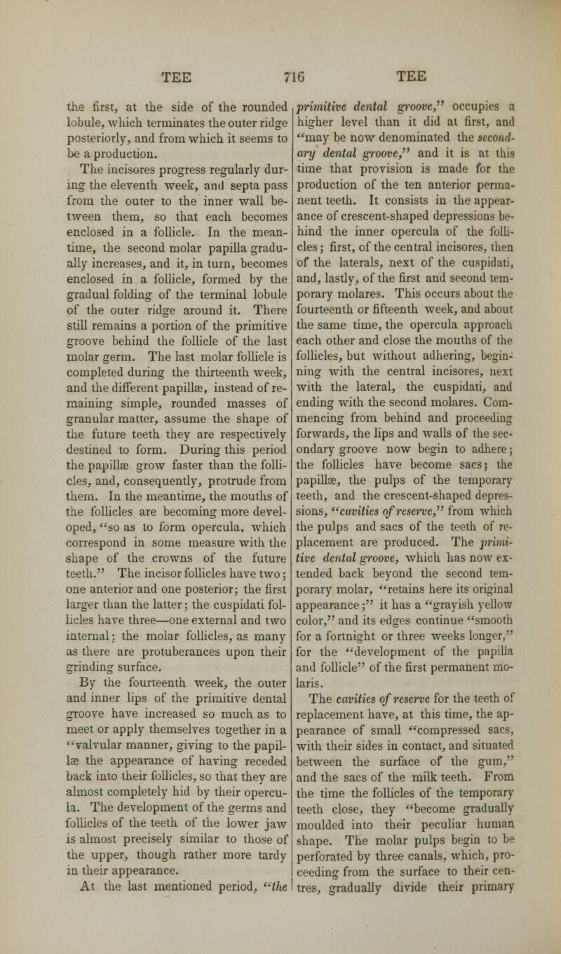 the first, at the side of the rounded lobule, which terminates the outer ridge posteriorly, and from which it seems to be a production. The incisores progress regularly dur- ing the eleventh week, and septa pass from the outer to the inner wall be- tween them, so that each becomes enclosed in a follicle. In the mean- time, the second molar papilla gradu- ally increases, and it, in turn, becomes enclosed in a follicle, formed by the gradual folding of the terminal lobule of the outer ridge around it. There still remains a portion of the primitive groove behind the follicle of the last molar germ. The last molar follicle is completed during the thirteenth week, and the different papillae, instead of re- maining simple, rounded masses of granular matter, assume the shape of the future teeth they are respectively destined to form. During this period the papillae grow faster than the folli- cles, and, consequently, protrude from them. In the meantime, the mouths of the follicles are becoming more devel- oped, so as to form opercula, which correspond in some measure with the shape of the crowns of the future teeth. The incisor follicles have two; one anterior and one posterior; the first larger than the latter; the cuspidati fol- licles have three—one external and two internal; the molar follicles, as many as there are protuberances upon their grinding surface. By the fourteenth week, the outer and inner lips of the primitive dental groove have increased so much as to meet or apply themselves together in a '^valvular manner, giving to the papil- lae the appearance of having receded back into their follicles, so that they are almost completely bid by their opercu- la. The development of the germs and follicles of the teeth of the lower jaw is almost precisely similar to those of the upper, though rather more tardy in their appearance. At the last mentioned period, the primitive dental groove, occupies a higher level than it did at first, and may be now denominated the second- ary dental groove, and it is at this time that provision is made for the production of the ten anterior perma- nent teeth. It consists in the appear- ance of crescent-shaped depressions be- hind the inner opercula of the foUi- cles; first, of the central incisores, then of the laterals, next of the cuspidati, and, lastly, of the first and second tem- porary molares. This occurs about the fourteenth or fifteenth week, and about the same time, the opercula approach each other and close the mouths of the follicles, but without adhering, begin- ning with the central incisores, next with the lateral, the cuspidati, and ending with the second molares. Com- mencing from behind and proceeding forwards, the lips and walls of the sec- ondary groove DOW begin to adhere; the follicles have become sacs; the papillae, the pulps of the temporary teeth, and the crescent-shaped depres- sions, cavities of reserve, from which the pulps and sacs of the teeth of re- placement are produced. The primi- tive dental groove, which has now ex- tended back beyond the second tem- porary molar, retains here its original appearance; it has a grayish yellow color, and its edges continue smooth for a fortnight or three weeks longer, for the development of the papilla and foUicle of the first permanent mo- laris. The cavities of reserve for the teeth of replacement have, at this time, the ap- pearance of small compressed sacs, with their sides in contact, and situated between the surface of the gum, and the sacs of the milk teeth. From the time the follicles of the temporary teeth close, they become gradually moulded into their peculiar human shape. The molar pulps begin to be perforated by three canals, which, pro- ceeding from the surface to their cen- tres, gradually divide their primary