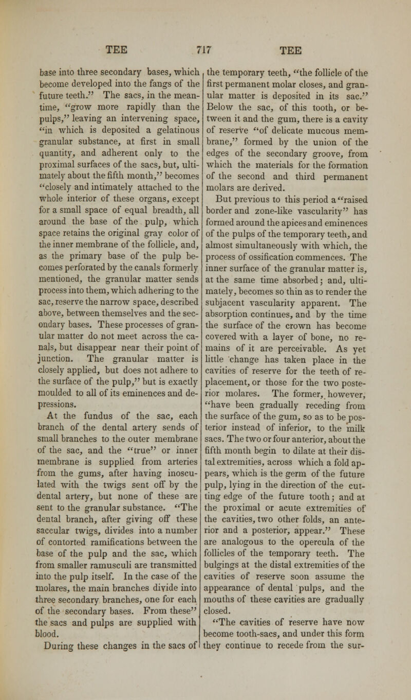 base into three secondary bases, which become developed into the fangs of the future teeth. The sacs, in the mean- time, grow more rapidly than the pulps, leaving an intervening space, in which is deposited a gelatinous granular substance, at first in small quantity, and adherent only to the proximal surfaces of the sacs, but, ulti- mately about the fifth month, becomes closely and intimately attached to the whole interior of these organs, except for a small space of equal breadth, all around the base of the pulp, which space retains the original gray color of the inner membrane of the follicle, and, as the primary base of the pulp be- comes perforated by the canals formerly mentioned, the granular matter sends process into them, which adhering to the sac, reserve the narrow space, described above, between themselves and the sec- ondary bases. These processes of gran- ular matter do not meet across the ca- nals, but disappear near their point of junction. The granular matter is closely applied, but does not adhere to the surface of the pulp, but is exactly moulded to all of its eminences and de- pressions. At the fundus of the sac, each branch of the dental artery sends of small branches to the outer membrane of the sac, and the true or inner membrane is supplied from arteries from the gums, after having inoscu- lated with the twigs sent off by the dental artery, but none of these are sent to the granular substance. The dental branch, after giving off these saccular twigs, divides into a number of contorted ramifications between the base of the pulp and the sac, which from smaller ramusculi are transmitted into the pulp itself. In the case of the molares, the main branches divide into three secondary branches, one for each of the secondary bases. From these the sacs and pulps are supplied with blood. During these changes in the sacs of I the temporary teeth, the follicle of the first permanent molar closes, and gran- ular matter is deposited in its sac. Below the sac, of this tooth, or be- tween it and the gum, there is a cavity of reserve of deUcate mucous mem- brane, formed by the union of the edges of the secondary groove, from which the materials for the formation of the second and third permanent molars are derived. But previous to this period a''raised border and zone-like vascularity has formed around the apices and eminences of the pulps of the temporary teeth, and almost simultaneously with which, the process of ossification commences. The inner surface of the granular matter is, at the same time absorbed; and, ulti- mately, becomes so thin as to render the subjacent vascularity apparent. The absorption continues, and by the time the surface of the crown has become covered with a layer of bone, no re- mains of it are perceivable. As yet Httle change has taken place in the cavities of reserve for the teeth of re- placement, or those for the two poste- rior molares. The former, however, have been gradually receding from the surface of the gum, so as to be pos- terior instead of inferior, to the milk sacs. The two or four anterior, about the fifth month begin to dilate at their dis- tal extremities, across which a fold ap- pears, which is the germ of the future pulp, lying in the direction of the cut- ting edge of the future tooth; and at the proximal or acute extremities of the cavities, two other folds, an ante- rior and a posterior, appear. These are analogous to the opercula of the folHcles of the temporary teeth. The bulgings at the distal extremities of the cavities of reserve soon assume the appearance of dental pulps, and the mouths of these cavities are gradually closed. The cavities of reserve have now become tooth-sacs, and under this form they continue to recede from the sur-