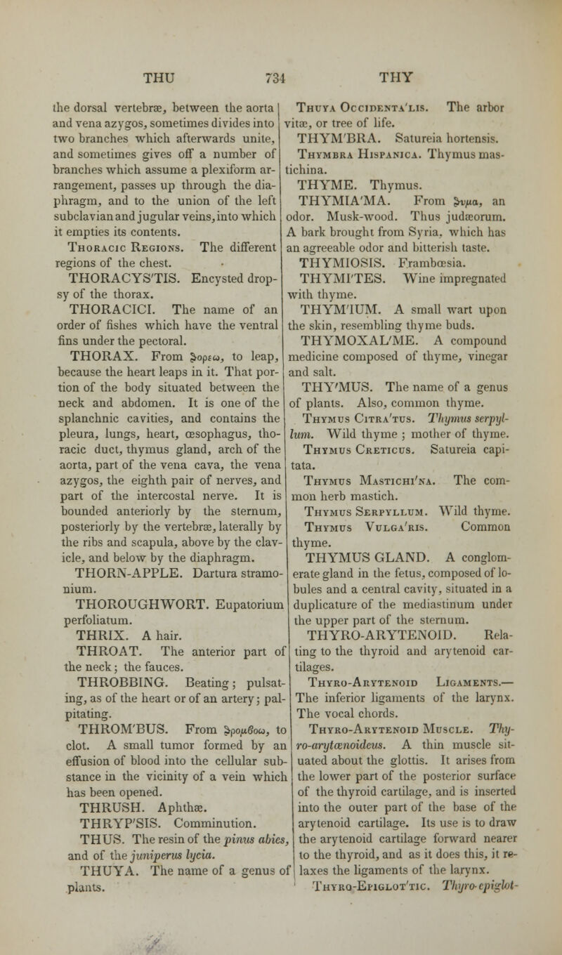 the dorsal vertebrae, between the aorta and vena azygos, sometimes divides into two branches which afterwards unite, and sometimes gives off a number of branches which assume a plexiform ar- rangement, passes up through the dia- phragm, and to the union of the left subclavian and jugular veins, into which it empties its contents. Thoracic Regions. The different regions of the chest. THORACYS'TIS. Encysted drop- sy of the thorax. THORACIC!. The name of an order of fishes which have the ventral fins under the pectoral. THORAX. From ^optw, to leap, because the heart leaps in it. That por- tion of the body situated between the neck and abdomen. It is one of the splanchnic cavities, and contains the pleura, lungs, heart, oesophagus, tho- racic duct, thymus gland, arch of the aorta, part of the vena cava, the vena azygos, the eighth pair of nerves, and part of the intercostal nerve. It is bounded anteriorly by the sternum, posteriorly by the vertebrae, laterally by the ribs and scapula, above by the clav- icle, and below by the diaphragm. THORN-APPLE. Dartura stramo- nium. THOROUGHWORT. Eupatorium perfoliatum. THRIX. A hair. THROAT. The anterior part of the neck; the fauces. THROBBING. Beating; pulsat Thuya Occidenta'lis. The arbor vitae, or tree of life. THYM'BRA. Satureia hortensis. Thymbra HisPANicA. Thymus mas- tichina. THYME. Thymus. THYMIA'MA. From ^^a, an odor. Musk-wood. Thus juda^orum. A bark brought from Syria, which has an agreeable odor and bitterish taste. THYMIOSIS. Frambcesia. THYMI'TES. Wine impregnated with thyme. THYM'lUM. A small wart upon the skin, resembling thyme buds. THYMOXAL'ME. A compound medicine composed of thyme, vinegar and salt. THY'MUS. The name of a genus of plants. Also, common thyme. Thymus Citra'tus. IViymiis serpyi- lum. Wild thyme ; mother of thyme. Thymus Creticus. Satureia capi- tata. Thymus Mastichi'na. The com- mon herb mastich. Thymus Serpyllum. Wild thyme. Thymus Vulga'ris. Common thyme. THYMUS GLAND. A conglom- erate gland in the fetus, composed of lo- bules and a central cavity, situated in a duplicature of the mediastinum under the upper part of the sternum. THYRO-ARYTENOID. Rela- ting to the thyroid and arytenoid car- tilages. Thyro-Arytenoid Ligaments.— ing, as of the heart or of an artery; pal- The inferior ligaments of the larynx. The vocal chords. Thyro-Arytenoid Muscle. Thy- ro-arytcenoidciis. A thin muscle sit- uated about the glottis. It arises from the lower part of the posterior surface of the thyroid cartilage, and is inserted into the outer part of the base of the arytenoid cartilage. Its use is to draw the arytenoid cartilage forward nearer to the thyroid, and as it does this, it re- The name of a genus of j laxes the ligaments of the larynx. Thyro-Ehglot'tic. Thyrocpiglol- pitating. THROM'BUS. From ^po/i6o«, to clot. A small tumor formed by an effusion of blood into the cellular sub- stance in the vicinity of a vein which has been opened. THRUSH. Aphthae. THRYP'SIS. Comminution. THUS. The resin of the pinus abies, and of the juniperus lycia THUYA, plants.