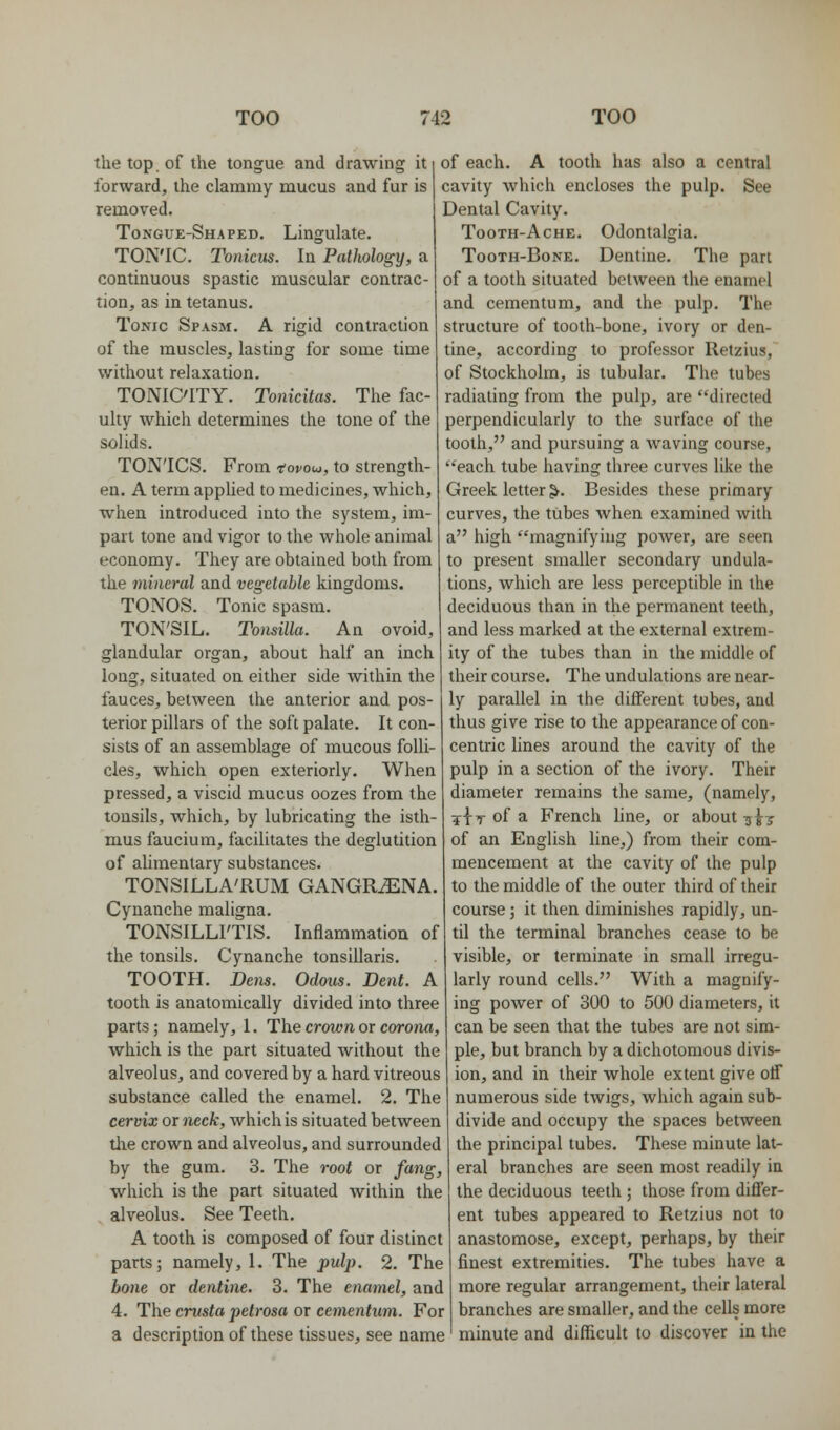 the top. of the tongue and drawing it forward, the clammy mucus and fur is removed. Tongue-Shaped. Lingulate. TON'IC. Tonicus. In Pathology, a continuous spastic muscular contrac- tion, as in tetanus. Tonic Spasm. A rigid contraction of the muscles, lasting for some time without relaxation. TONICITY. Tonicitas. The fac- ulty which determines the tone of the solids. TON'ICS. From tovow, to strength- en. A term applied to medicines, which, when introduced into the system, im- part tone and vigor to the whole animal economy. They are obtained both from the mineral and vegetable kingdoms. TONOS. Tonic spasm. TON'SIL. Tonsilla. An ovoid, glandular organ, about half an inch long, situated on either side within the fauces, between the anterior and pos- terior pillars of the soft palate. It con- sists of an assemblage of mucous folli- cles, which open exteriorly. When pressed, a viscid mucus oozes from the tonsils, which, by lubricating the isth- mus faucium, facilitates the deglutition of alimentary substances. TONSILLA'RUM GANGR^NA. Cynanche maligna. TONSILLITIS. Inflammation of the tonsils. Cynanche tonsillaris. TOOTH. Dens. Odous. Dent. A tooth is anatomically divided into three parts; namely, 1. The crown or corona, which is the part situated without the alveolus, and covered by a hard vitreous substance called the enamel. 2. The cervix or neck, which is situated between the crown and alveolus, and surrounded by the gum. 3. The root or fang, which is the part situated within the alveolus. See Teeth. A tooth is composed of four distinct parts; namely, 1. The jpulj). 2. The bone or dentine. 3. The enamel, and 4. The crusta petrosa or cementum. For a description of these tissues, see name of each. A tooth has also a central cavity which encloses the pulp. See Dental Cavity. TooTH-AcHE. Odontalgia. TooTH-BoNE. Dentine. The part of a tooth situated between the enamel and cementum, and the pulp. The structure of tooth-bone, ivory or den- tine, according to professor Retzius, of Stockholm, is tubular. The tubes radiating from the pulp, are directed perpendicularly to the surface of the tooth, and pursuing a waving course, each tube having three curves like the Greek letter ^. Besides these primary curves, the tubes when examined with a high magnifying power, are seen to present smaller secondary undula- tions, which are less perceptible in the deciduous than in the permanent teeth, and less marked at the external extrem- ity of the tubes than in the middle of their course. The undulations are near- ly parallel in the different tubes, and thus give rise to the appearance of con- centric lines around the cavity of the pulp in a section of the ivory. Their diameter remains the same, (namely, :3:|y of a French line, or about ^^^ of an English line,) from their com- mencement at the cavity of the pulp to the middle of the outer third of their course; it then diminishes rapidly, un- til the terminal branches cease to be visible, or terminate in small irregu- larly round cells. With a magnify- ing power of 300 to 500 diameters, it can be seen that the tubes are not sim- ple, but branch by a dichotomous divis- ion, and in their whole extent give off numerous side twigs, which again sub- divide and occupy the spaces between the principal tubes. These minute lat- eral branches are seen most readily in the deciduous teeth ; those from differ- ent tubes appeared to Retzius not to anastomose, except, perhaps, by their finest extremities. The tubes have a more regular arrangement, their lateral branches are smaller, and the cells more minute and difl[icult to discover in the