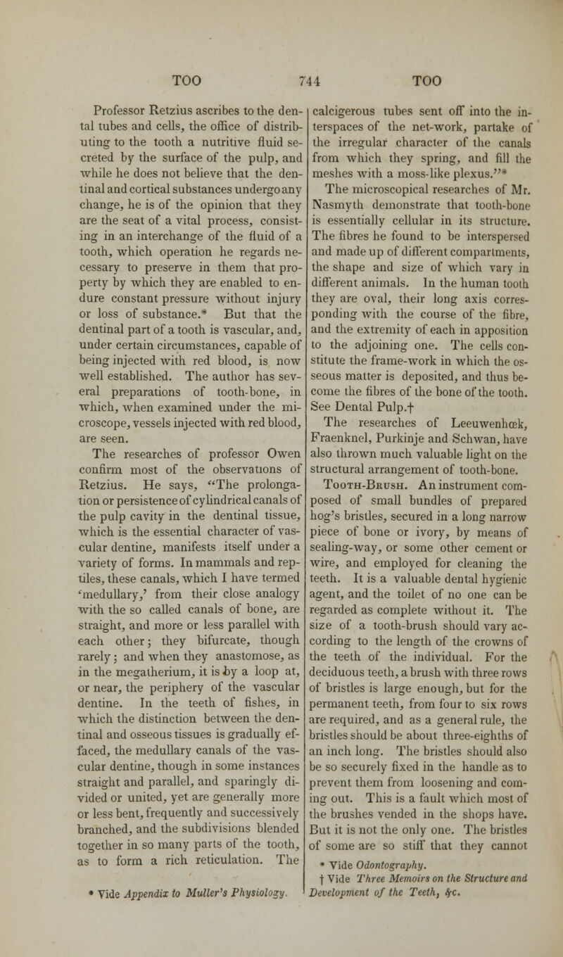 Professor Retzius ascribes to the den- tal tubes and cells, the office of distrib- uting to the tooth a nutritive fluid se- creted by the surface of the pulp, and while he does not believe that the den- tinal and cortical substances undergo any change, he is of the opinion that they are the seat of a vital process, consist- ing in an interchange of the fluid of a tooth, which operation he regards ne- cessary to preserve in them that pro- perty by which they are enabled to en- dure constant pressure without injury or loss of substance.* But that the dentinal part of a tooth is vascular, and, under certain circumstances, capable of being injected Avith red blood, is now well established. The author has sev- eral preparations of tooth-bone, in which, when examined under the mi- croscope, vessels injected with red blood, are seen. The researches of professor Owen confirm most of the observations of Retzius. He says, The prolonga- tion or persistence of cyhndrical canals of the pulp cavity in the dentinal tissue, which is the essential character of vas- cular dentine, manifests itself under a variety of forms. In mammals and rep- tiles, these canals, which I have termed medullary,' from their close analogy with the so called canals of bone, are straight, and more or less parallel with each other; they bifurcate, though rarely; and when they anastomose, as in the megatherium, it is by a loop at, or near, the periphery of the vascular dentine. In the teeth of fishes, in which the distinction between the den- tinal and osseous tissues is gradually ef- faced, the medullary canals of the vas- cular dentine, though in some instances straight and parallel, and sparingly di- vided or united, yet are generally more or less bent, frequently and successively branched, and the subdivisions blended together in so many parts of the tooth, as to form a rich reticulation. The • Vide Appendix to Muller's Physiology. calcigerous tubes sent ofl into the in- terspaces of the net-work, partake of the irregular character of the canals from which they spring, and fill the meshes with a moss-like plexus.* The microscopical researches of Mr. Nasmyth demonstrate that tooth-bone is essentially cellular in its structure. The fibres he found to be interspersed and made up of different compartments, the shape and size of which vary in different animals. In the human tooth they are oval, their long axis corres- ponding with the course of the fibre, and the extremity of each in apposition to the adjoining one. The cells con- stitute the frame-work in Avhich the os- seous matter is deposited, and thus be- come the fibres of the bone of the tooth. See Dental Pulp.f The researches of Leeuwenhcek, Fraenknel, Purkinje and Schwan, have also thrown much valuable light on the structural arrangement of tooth-bone. Tooth-Brush. An instrument com- posed of small bundles of prepared hog's bristles, secured in a long narrow piece of bone or ivory, by means of sealing-way, or some other cement or wire, and employed for cleaning the teeth. It is a valuable dental hygienic agent, and the toilet of no one can be regarded as complete without it. The size of a tooth-brush should vary ac- cording to the length of the crowns of the teeth of the individual. For the deciduous teeth, a brush with three rows of bristles is large enough, but for the permanent teeth, from four to six rows are required, and as a general rule, the bristles should be about three-eighths of an inch long. The bristles should also be so securely fixed in the handle as to prevent them from loosening and com- ing out. This is a fault which most of the brushes vended in the shops have. But it is not the only one. The bristles of some are so stiff that they cannot * Vide Odontography. t Vide Three Memoirs on the Structure and Development of the Teeth, SfC.