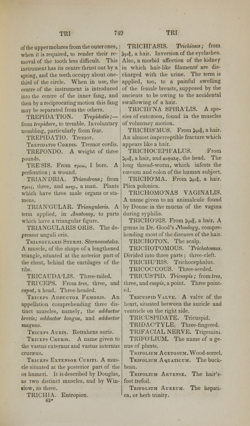 of the upper molares from the outer ones, when it is required, to render their re- moval of the tooth less difficult. This instrument has its centre thrust out by a spring, and the teeth occupy about one- third of the circle. When in use, the centre of the instrument is introduced into the centre of the inner fang, and then by a reciprocating motion this fang may be separated from the others, j TREPIDA'TIOIN. Trepidatio;—] from trepidare, to tremble. Involuntary , trembling, particularly from fear. TREPIDATIO. Tremor. Trepidatio Cordis. Tremor cordis. TREPONDO. A weight of three pounds. TRE'SIS. From rpsw, I bore. A perforation; a wound. TRIAN'DRIA. Thiandrous; from ■rpsij, three, and avr^p, a man. Plants which have three male organs or sta- mens. TRIAN'GULAR. Tiiangularis. A term applied, in Anatomy, to parts which have a triangular figure. TRIANGULARIS ORIS. The de- pressor anguli oris. Triangularis Sterni. Stcmocostcdes. A muscle, of the shape of a lengthened triangle, situated at the anterior part of the chest, behind the cartilages of the ribs. TRICAUDA'LIS. Three-tailed. TRI'CEPS. Fromtm, three, and caput, a head. Three-headed. Triceps Adductor Femoris. An appellation comprehending three dis- tinct muscles, namely, the adducttyr brevis; adductor longus, and adductor' magnus. Triceps Auris. Retrahens auris. Triceps Cruris. A name given to the vastus externus and vastus internus crurcEus. Triceps Extensor Cubiti. A mus- cle situated at the posterior part of the OS humeri. It is described by Douglas, as two distinct muscles, and by Win- slow, as three. TRICHIA. Entropion. 63* TRICHI'ASIS. Tnchioses; from ^pt|, a hair. Inversion of the eyelashes. Also, a morbid affection of the kidney in which hair-like filaments' are dis- charged with the urine. The term is applied, too, to a painful swelling of the female breasts, supposed by the ancients to be owing to the accidental swallownng of a hair. TRICHI'NA SPIRA'LIS, A spe- cies of entozoon, found in the muscles of voluntary motion. TRICHl's'M US. From ^pt|, a hair. An almost imperceptible fracture which appears like a hair. TRICHOCEPH'ALUS. From ^pt|, a hair, and xs^axj?, the head. The long thread-Avorm, which infests the ccBcum and colon of the human subject. TRICHO'iMA. From ^pi|, a hair. : Plica polonica. 1 TRICHOMO'NAS VAGINALIS. A name given to an animalcule found by Donne in the mucus of the vagina during syphilis. TRICHO'SIS. From ^pi|, a hair. A genus in Dr. Good's JVosology, compre- hending most of the diseases of the hair. TRICHOTON. The scalp. TRICHOT'OMOUS. B-ichotomus. Divided into three parts ; three-cleft. TRICHU'RIS. Trichocephalus. TRICOC'COUS. Three-seeded. TRICUS'PID. Tricuspis; from ires, three, and cuspis, a point. Three point- ed. Tricuspid Valve. A valve of the heart, situated between the auricle and ventricle on the right side. TRICUSPIDATE. Tricuspid. TRIDAC'TYLE. Three-fingered. TRIFACIAL NERVE. Trigeraini. TRIFO'LIUM. The name of a ge- nus of plants. Trifolium acetosum. Wood-sorrel. Trifolium Aq,uaticum. The buck- bean. Trifolium Arvense. The hair's- foot trefoil. Trifolium Aureum. The hepati- ca, or herb trinity.