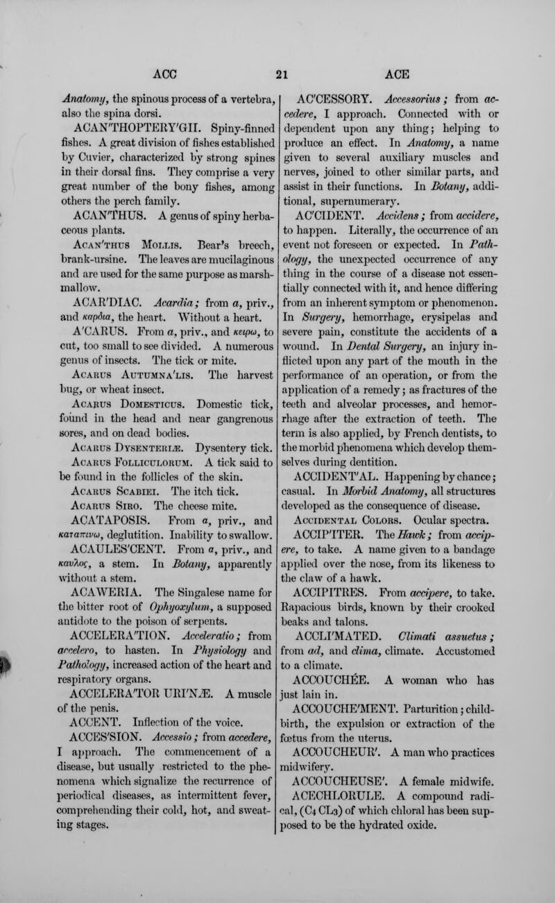 Anatomy, the spinous process of a vertebra, also the spina dorsi. ACAN'THOPTERY'GII. Spiny-finned fishes. A great division of fishes established by Cuvier, characterized by strong sjiines in their dorsal fins. They comprise a very great number of the bony fishes, among others the perch family. ACAN'THUS. A genus of spiny herba- ceous plants. Acan'thtjs Mollis. Bear's breech, brank-ursine. The leaves are mucilaginous and are used for the same purpose as marsh- mallow. ACAR'DIAC. Acardia; from a, priv., and xapdia, the heart. Without a heart. A'CARUS. From a, priv., and netpu, to cut, too small to see divided. A numerous genus of insects. The tick or mite. Acarus Autumna'lis. The harvest bug, or wheat insect. Acarus Domesticus. Domestic tick, found in the head and near gangrenous sores, and on dead bodies. Acarus Dysenterle. Dysentery tick. Acauus Folliculorum. A tick said to be found in the follicles of the skin. Acarus Scabiei. The itch tick. Acarus Siro. The cheese mite. ACATAPOSIS. From a, priv., and Kaiamvu, deglutition. Inability to swallow. ACAULES'CENT. From a, priv., and KavXog, a stem. In Botany, ajiparently without a stem. ACAWERIA. The Singalese name for the bitter root of Ophyoxylum, a supposed antidote to the poison of serpents. ACCELERATION. Accderalio ; from arcelcro, to hasten. In Physiology and Pathology, increased action of the heart and respiratory organs. ACCELERATOR URI'N.E. A muscle of the penis. ACCENT. Inflection of the voice. ACCES'SION. Accessio ; from accedere, I approach. The commencement of a disease, but usually restricted to the phe- nomena which signalize the recurrence of periodical diseases, as intermittent fever, comprehending their cold, hot, and sweat- ing stages. ACCESSORY. Accessorixis ; from ac- cedere, I approach. Connected with or dependent upon any thing; helping to produce an effect. In Anatomy, a name given to several auxiliary muscles and nerves, joined to other similar parts, and assist in their functions. In Botany, addi- tional, supernumerary. ACCIDENT. Aceidens ; from accidere, to happen. Literally, the occurrence of an event not foreseen or expected. In Path- ology, the unexpected occurrence of any thing in the course of a disease not essen- tially connected with it, and hence differing from an inherent symptom or phenomenon. In Surgery, hemorrhage, erysipelas and severe pain, constitute the accidents of a wound. In Dental Surgery, an injury in- flicted upon any part of the mouth in the performance of an operation, or from the application of a remedy; as fractures of the teeth and alveolar processes, and hemor- rhage after the extraction of teeth. The term is also applied, by French dentists, to the morbid phenomena which develop them- selves during dentition. ACCIDENTAL. Happening by chance ; casual. In Morbid Anatomy, all structures developed as the consequence of disease. Accidental Colors. Ocular spectra. ACCIP'ITER. The Hawk; from accip- ere, to take. A name given to a bandage applied over the nose, from its likeness to the claw of a hawk. ACCIPITRES. From accipere, to take. Rapacious birds, known by their crooked beaks and talons. ACCLI'MATED. Climati assuetus; from ad, and clima, climate. Accustomed to a climate. ACCOUCHEE. A woman who has just lain in. ACCOUCHE'MENT. Parturition; child- birth, the expulsion or extraction of the foetus from the uterus. ACCOUCHEUR'. A man who practices midwifery. ACCOUCHEUSE'. A female midwife. ACECHLORULE. A compound radi- cal, (C4 CL3) of which chloral has been sup- posed to be the hydratcd oxide.