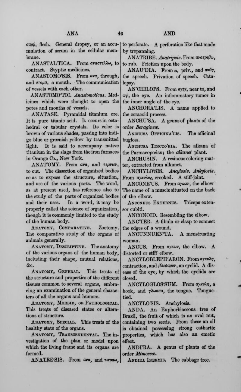 cap!;, flesh. General dropsy, or an accu- mulation of serum in the cellular mem- brane. ANASTALTICA. From avaorEMa, to contract. Styptic medicines. ANASTOMO'SIS. From ava, through, and aiofia, a mouth. The communication of vessels with each other. ANASTOMOTIC. Anastomotims. Med- icines which were thought to open the pores and mouths of vessels. ANATASE. Pyramidal titanium ore. It is pure titanic acid. It occurs in octa- hedral or tabular crystals. Its color is brown of various shades, passing into indi- go blue or greenish yellow by transmitted light. It is said to accompany native titanium in the slags from the iron furnaces in Orange Co., New York. ANATOMY. From ava, and Tepviev, to cut. The dissection of organized bodies so as to expose the structure, situation, and use of the various parts. The word, as at present used, has reference also to the study of the parts of organized bodies and their uses. In a word, it may be properly called the science of organization, though it is commonly limited to the study of the human body. Anatomy, Comparative:. Zootomy. The comparative study of the organs of animals generally. Anatomy, Descriptive. The anatomy of the various organs of the human body, including their shape, mutual relations, &c. Anatomy, General. This treats of the structure and properties of the different tissues common to several organs, embra- cing an examination of the general charac- ters of all the organs and humors. Anatomy, Morbid, or Pathological. This treats of diseased states or altera- tions of structure. Anatomy, Special. This treats of the healthy state of the organs. Anatomy, Transcendental. The in- vestigation of the plan or model upon which the living frame and its organs are formed. ANATRE'SIS. From ava, and nrpau, to perforate. A perforation like that made by trepanning. ANATRIBE. Anatripsis. From avaTpifiu, to rub. Friction upon the body. ANAU'DIA. From a, priv., and aviit, the speech. Privation of speech. Cata- lepsy. AN'CHILOPS. From ayxt, near to, and unj), the eye. An inflammatory tumor in the inner angle of the eye. ANCHORA'LIS. A name applied to the coracoid process. ANCHU'SA. A genus of plants of the order Boraginece. Anchusa Officinalis. The officinal bugloss. Anchusa Tincto'ria. The alkana of the Parmacopoeias; the alkanet plant. ANCHUSIN. A resinous coloring mat- ter, extracted from alkanet. ANCHYLO'SIS. Ancylosis. Ankylosis. From aynvkof, crooked. A stiff-joint. ANCONE'US. From aynw, the elbow' The name of a muscle situated on the back of the elbow. Anconeus Externus. Triceps exten- sor cubiti. ANCONOID. Resembling the elbow. ANC'TER. A fibula or clasp to connect the edges of a wound. ANCUNNUEN'TA. A menstruating woman. ANCUS. From oy/cwv, the elbow. A distorted or stiff elbow. ANCYLOBLEPH'ARON. From ayKvfy, contraction, and (iteipapov, an eyelid. A dis- ease of the eye, by which the eyelids are closed. ANCYLOGLOS'SUM. From ayKvkv, a hook, and yluaaa, the tongue. Tongue- tied. ANCYLO'SIS. Anchylosis. ANDA. An Euphorbiaceous tree of Brazil, the fruit of which is an oval nut, containing two seeds. From these an oil is obtained possessing strong cathartic properties, which has also an emetic effect. ANDI'RA. A genus of plants of the order Mimosece. Andira Inermis. The cabbage tree.