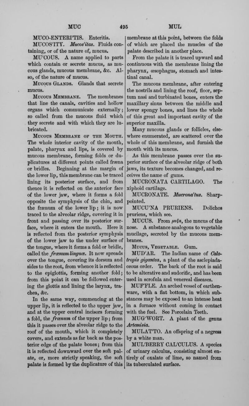 MUCO-ENTERI'TIS. Enteritis. MUCOS'ITY. Mucos'itas. Fluids con- taining, or of the nature of, mucus. MU'COUS. A name applied to parts which contain or secrete mucus, as mu- cous glands, mucous membrane, &c. Al- so, of the nature of mucus. Mucous Glands. Glands that secrete mucus. Mucous Membrane. The membranes that line the canals, cavities and hollow organs which communicate externally; so called from the mucous fluid which they secrete and with which they are lu- bricated. Mucous Membrane of the Mouth. The whole interior cavity of the mouth, palate, pharynx and lips, is covered by mucous membrane, forming folds or du- plicatures at different points called frana or bridles. Beginning at the margin of the lower lip, this membrane can be traced lining its posterior surface, and from thence it is reflected on the anterior face of the lower jaw, where it forms a fold opposite the symphysis of the chin, and the framum of the lower lip; it is now traced to the alveolar ridge, covering it in front and passing over its posterior sur- face, where it enters the mouth. Here it is reflected from the posterior symphysis of the lower jaw to the under surface of the tongue, where it forms a fold or bridle, called the frcenum Ungues. It now spreads over the tongue, covering its dorsum and sides to the root, from whence it is reflected to the epiglottis, forming another fold; from this point it can be followed enter- ing the glottis and lining the larynx, tra- chea, &c. In the same way, commencing at the upper lip, it is reflected to the upper jaw, and at the upper central incisors forming a fold, the frcenum of the upper lip; from this it passes over the alveolar ridge to the roof of the mouth, which it completely covers, and extends as far back as the pos- terior edge of the palate bones; from this it is reflected downward over the soft pal- ate, or, more strictly speaking, the soft palate is formed by the duplicative of this membrane at this point, between the folds of which are placed the muscles of the palate described in another place. From the palate it is traced upward and continuous with the membrane lining the pharynx, oesophagus, stomach and intes- tinal canal. The mucous membrane, after entering the nostrils and lining the roof, floor, sep- tum nasi and turbinated bones, enters the maxillary sinus between the middle and lower spongy bones, and lines the whole of this great and important cavity of the superior maxilla. Many mucous glands or follicles, else- where enumerated, are scattered over the whole of this membrane, and furnish the mouth with its mucus. As this membrane passes over the su- perior surface of the alveolar ridge of both jaws, its texture becomes changed, and re- ceives the name of gums. MUCRONATA CARTILAGO. The xiphoid cartilage. MUCRONATE. Mucrona'tus. Sharp- pointed. MUCU'NA PRURIENS. Dolichos pruriens, which see. MUCUS. From fiv^a, the mucus of the nose. A substance analogous to vegetable mucilage, secreted by the mucous mem- branes. Mucus, Vegetable. Gum. MUDAR. The Indian name of Calo- tropis gigantea, a plant of the asclepiada- ceous order. The bark of the root is said to be alterative and sudorific, and has been used in scrofula and venereal diseases. MUF'FLE. An arched vessel of earthen- ware, with a flat bottom, in which sub- stances may be exposed to an intense heat in a furnace without coming in contact with the fuel. See Porcelain Teeth. MUG'WORT. A plant of the genus Artemisia. MULATTO. An offspring of a negress by a white man. MUL'BERRY CAL'CULUS. A species of urinary calculus, consisting almost en- tirely of oxalate of lime, so named from its tuberculated surface.