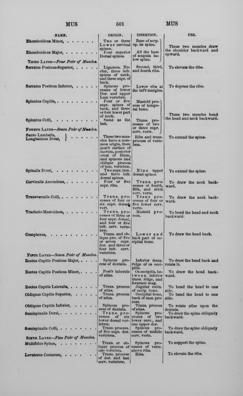 NAME. Bhomboideus Minor, Ehomboideus Major, , Third Layer—Four Pair of Muscles. Serratus Posticua-Superior, Sorratua Posticus Inferior, Splenius Capitis, Splenitis Colli Fourth Later—Seven Pair of Muscle Bacro Lumbalis, ) Longissimus Dorsi, J Spinalis Dorsi, . . Cervicalis Asecndens, Transversalis Colli, . Trachelo-Mastoideus, Complexus, Frrrn Layer—Seven Pair of Muscles. Eectus Capitis Posticus Major, . . . . Rectus Capitis Posticus Minor Eectus Capitis Lateralis, Obliquus Capitis Superior, Two or tbree Lower cervical spines. Four superior Dorsal spines. Base of soap, op. its spine. All the base of scapula be- low spine. Ligamen. Nu- Second, third, ohffi, three infr. I and fourth ribs. spines of neck and three supr. of back. Spinous pro- cesses of lower Dor. and upper Lum vertebne. Four or five supr. spines of back, and three or four lower part of neck. Same as the last. Lower ribs at the infr margins. Mastoid pro- cess of tempo- ral bone. These two m us- Trans. pro- cesses of two or three supr. cerv. verte. Ribs and trans. cles have a com- process of verte- mun origin, from bra). post'r surface of sacrum, posterior crest of Ilium, and spinous and oblique process of lum. vertebra. Two supr. lum. Nine upper and three infr. i dorsal spines, dorsal spines. Four or five supr. ribs. Trans, pro- cesses of four or Trans, p r o- cesses of fourth, lii'ilt. and sixth cerv. verte. Trans p r o- cesses of four or These two muscles draw the shoulder backward and upward. To elevate the ribs. six supr. dorsa^iflve lower cerv. vert. J verte. Trans, pro- .Mastoid Obliquus Capitis Inferior, Semispinalis Dorsi,. . . cesses of three or four supr. dorsal, and four or five infr. cerv. verte- brae. Trans, and ob- lique pro. of five or seven supr. dor. and three or four infr. cerv. vertebrae. Spinous pro- cess of dentata. Post'r tubercle of atlas. Trans, process of atlas. Trans, process of atlas. Semispinalis Colli, Sixth Layer—Five Pair of Muscles. Multifldus Spinas, Levatores Costarum, Spinous pro- cess of dentata. T runs, p r o- eesses of six lower dorsal ver- tebne. Trans, process, of five supr. dor. vertebra). Trans, or ob- lique process of one vertebra. Trans, process of dor. and last cerv. vertebra;. pro- Lower and back part of oc- cipital bone. Inferior trans, ridge of os occi- pitis. Osoccipitis, be- t w e e n inferior trans, ridge, and foramen mag. Jugular emin. of oeeip. bone. Occipital bone, back of mas. pro- cess. Trans, process of atlas. Spinous pro- cesses of two lower cerv., and one upper dor. Spinous pro- cesses of middle cerv. verte. Spinous pro- cesses of verte. above ribs. ltibs. To depress the ribs. These two muscles bend the head and neck backward. To extend the spine. To extend the spine. To draw the neck back- ward. : To draw the neck back- ward. To bend the head and neck backward. To draw the head back. To draw the head back and rotate it. To draw the head back- ward. To bend the head to one side. To bend the head to one side. To rotate atlas upon the dentata. To draw the spine obliquely backward. To draw the spine obliquely backward. To support the spine. To elevate the ribs.