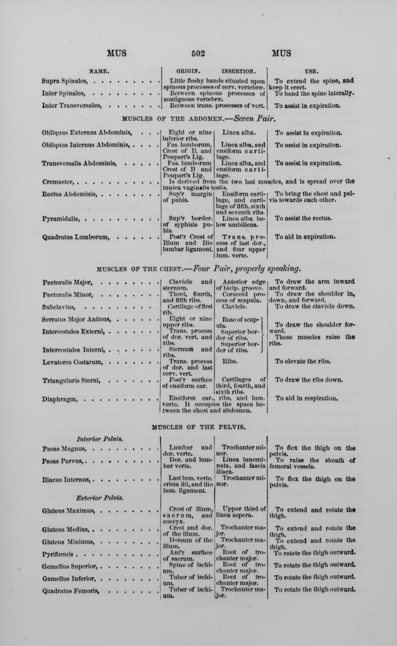 Supra Spinalcs, . . Inter Spinales, . . Inter Transversales, ORIGIN. INSERTION. Little fleshy bands situated upon spinous processes of cerv. vertebra. Between spinous processes of contiguous vertebne. Between trans, processes of vert. To extend tho spine, and keep it erect. To bend the spine laterally. To assist in expiration. muscles of the abdomen.—Seven Pair. Obliquus Extcrnus Abdominis, Obliquus Internus Abdominis, . Transversalis Abdominis, Cremaster, . . . Rectus Abdominis, Pyramidalis, . . . . Quadratus Lumborum, Eight or nine Inferior ribs. Fas. lumborum. Crest of II. and Poupnrt's Lig. Fas. lumborum Crest of 11 and Poupart'i Lig Linca alba. Linea alba, and ensiform carti- lage. Linea alba, and ensiform carti- lage. To assist in expiration. To assist in expiration. To assist in expiration. Is derived from the two last muscles, and is spread over the tunica vaginalis testis. Sup'r margin of pubis. Sup'r border. of syphisis pu- bis. Post'r Crest of Ilium and Ilio lumbar ligament. Ensiform carti- lage, and carti- lage of fifth, sixth and seventh ribs Linea alba be- low umbilicus. Trans, pro- cess of last dor., and four upper lum. verte. To bring the chest and pel- vis towards each other. To assist the rectus. To aid in expiration. muscles of the chest.—Four Pair, properly speaking. Pectoralis Major, . . Pectoralis Minor, . . Subclavius, . . . . Serratus Major Anticus, Intercostales Externi, . Intercostalcs Interni, . Levatores Costarum, . Triangularis Sterni, Diaphragm, Clavicle and sternum. Third, fourth, and fifth ribs. Cartilage of first rib. Eight or nine upper ribs. Trans, process of dor. vert, and ribs. Sternum and ribs. Trans, process of dor. and last cerv. vert. Post'r surface of ensiform ear. Ensiform car. verte. It occupies the space be- tween the chest anil abdomen. Anterior edge of bicip. groove. Coracoid pro- cess of scapula. Clavicle. Base of scap- ula. Superior bor- der of ribs. Superior bor- der of ribs. Ribs. Cartilages of third, fourth, and sixth ribs, ribs, and lum. To draw the arm inward and forward. To draw the shoulder in, down, and forward. To draw the clavicle down. To draw the shoulder for- ward. These muscles raise the ribs. To elevate the ribs. To draw the ribs down. To aid in respiration. Interior Pelvis. Psoas Magnus, .... Psoas Parvus, Iliacus Internus, Exterior Pelvis. Gluteus Maximus, . . . Gluteus Medius, . Gluteus Minimus, Pyriformis . . . MUSCLES OF THE Lumbar and dor. verte. Dor. and lum- bar verte. Last lum. verte. crista ilii, and ilio lum. ligament. Crest of ilium, sacrum, and coccyx. Crest and dor. of the ilium. Dorsum of the ilium. Ant'r surface of sacrum. Gemellus Superior, ' Spine of ischi- um. Gemellus Inferior, Tuber of ischi- j um. Quadratus Femoris, I Tuber of ischi- i um. Trochanter mi- nor. Linea innomi- nata, and fascia iliaca. Trochanter mi- nor. Upper third of linea aspera. Trochanter ma- jor. Trochanter ma- jor. Root of tro- chanter major. Root of tro- chanter major. Root of tro- chanter major. Trochanter ma- jor. To flex the thigh on the pelvis. To raise the sheath of femoral vessels. To flex the thigh on the pelvis. To extend and rotate the thigh. To extend and rotate the thigh. To extend and rotate the thigh. To rotate the thigh outward. To rotate the thigh outward. To rotate the thigh outward. To rotate the thigh outward.