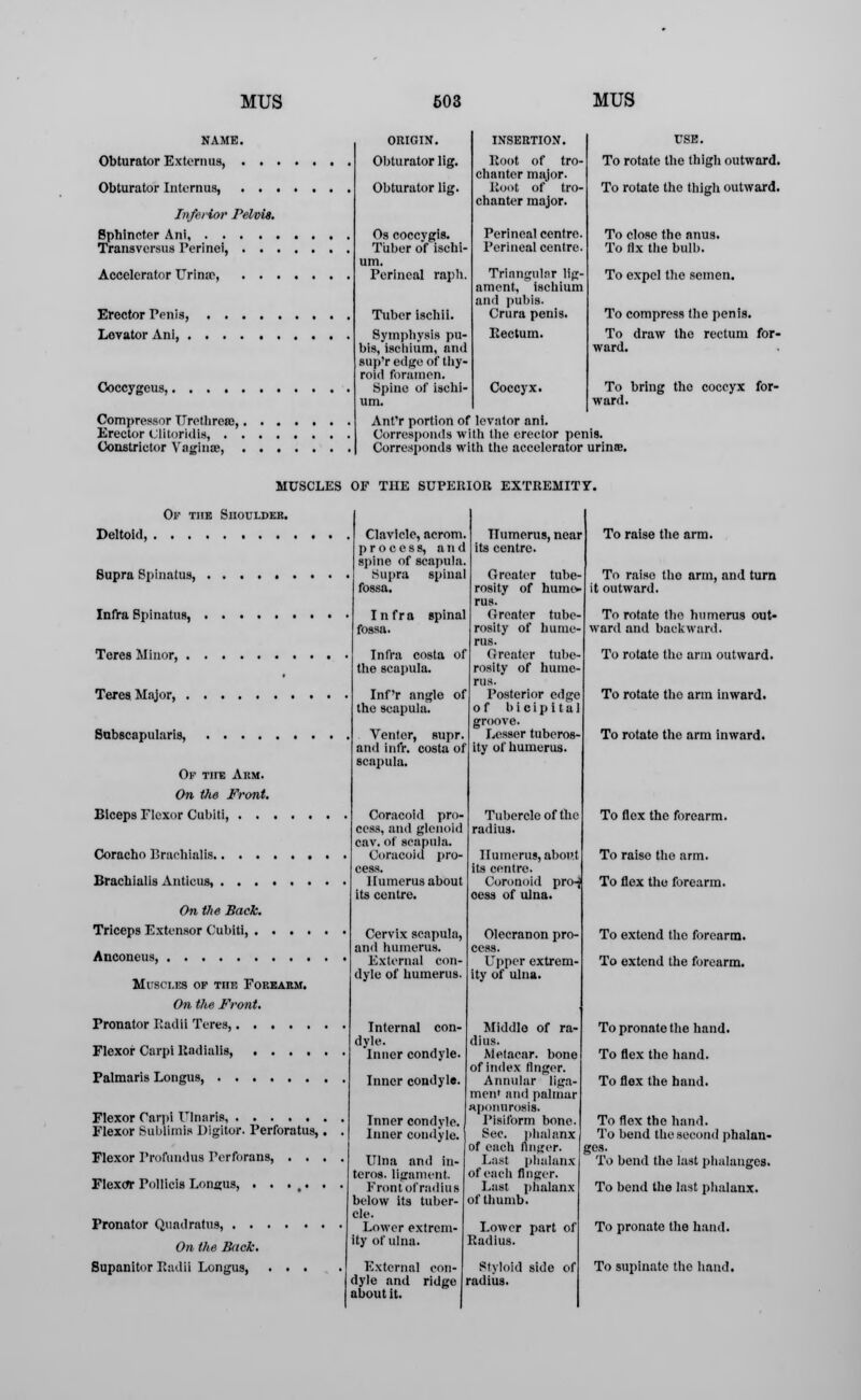 NAME. Obturator Externus, . . Obturator Interims, . . . Inferior Pelvis. Sphincter Ani, Transversus Perinei, Accelerator Urimr, Erector Penis, Levator Ani, . Coccygeus,, Compressor TTrethrcae,, Erector (Jlitoridis, . . Constrictor Vagina;, ORIGIN. Obturator lig. Obturator lig. Os eoccygis. Tuber of ischi- um. Perineal rapli. Tuber ischii. Symphysis pu- bis, ischium, and sup'r edge of toy- row foramen. Spine of ischi- um. INSERTION. Hoot of tro- chanter major. Boot of tro- chanter major. Perineal centre. Perineal centre. Triangular lig- ament, ischium and pubis. Crura penis. Eectum. Coccyx. USE. To rotate the thigh outward. To rotate the thigh outward. To close the anus. To fix the bulb. To expel the semen. To compress the penis. To draw the rectum for- ward. To bring the coccyx for- ward. Ant'r portion of levator ani. Corresponds with the erector penis. Corresponds with the accelerator urinte. MUSCLES OF THE SUPERIOR EXTREMITY Op the SnouLDER. Deltoid, Supra Spinatus, Infra Spinatus, Teres Minor, . Teres Major, . Subscapulars, Of Tire Arm. On the Front. Biceps Flexor Cubiti, . . Coracho Brachlalls. Brachialis Anticus, On the Back. Triceps Extensor Cubiti, . Anconeus, Musci.es of the Forearm, On the Front. Pronator BadU Teres,.... Flexor Carpi Radialis, . . . Palmaris Longus, Flexor Carpi Ulnnris, . . . Flexor Sublimis Dlgltor. Perforatus, Flexor Profundus Perforan9, Flexor Poinds Longus, . . Pronator Quadratus, . . On the Back. Supanitor BadU Longus, Clavicle, acrom. process, and spine of scapula Supra spinal fossa. Infra spinal fossa. Infra costa of the scapula. Inf'r angle of the scapula. Venter, supr. and infr. costa of scapula. Coracoid pro- cess, and glenoid cav. of scapula. Coracoid pro- cess. Humerus about its centre. Cervix scapula, and humerus. External con- dyle of humerus. Internal con- dyle. Inner condyle. Inner condyle. Inner condyle. Inner condyle. Ulna and in- terns, ligament Front of radius below its tuber- cle. Lower extrem- ity of ulna. External con- dyle and ridge about it. Humerus, near its centre. Greater tube- rosity of hume- rus. Greater tube rosity of hume- rus. Greater tube- rosity of hume- rus. Posterior edge of bicipital groove. Lesser tuberos- ity of humerus. Tubercle of the radius. Humerus, about its centre. Coronoid pro-j oess of ulna. Olecranon pro- cess. Upper extrem- ity of ulna. Middle of ra- dius. Metacnr. bone of index linger. Annular llga- men' and palmar aponurosis. Pisiform bone. Sec. phalanx of each finger. Last phalanx of each finger. Last phalanx of thumb. Lower part of Radius. Styloid side of radius. To raise the arm. To raise the arm, and turn it outward. To rotate the humerus out- ward and backward. To rotate the arm outward. To rotate the arm inward. To rotate the arm inward. To flex the forearm. To raiso the arm. To flex the forearm. To extend the forearm. To extend the forearm. Topronatethe hand. To flex the hand. To flex the hand. To flex the hand. To bend the second phalan- ges. To bend the last phalanges. To bend the last phalanx. To pronate the hand. To supinate the hand.