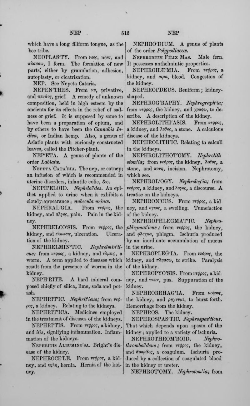 which have a long filiform tongue, as the bee tribe. NEOPLASTY. From wef, new, and Trlaoao, I form. The formation of new parts! either by granulation, adhesion, autoplasty, or cicatrization. NEP. See Nepeta Cataria. NEPENTHES. From vn, privative, and TTEvdog, grief. A remedy of unknown composition, held in high esteem by the ancients for its effects in the relief of sad- ness or grief. It is supposed by some to have been a preparation of opium, and by others to have been the Cannabis In- dica, or Indian hemp. Also, a genus of Asiatic plants with curiously constructed leaves, called the Pitcher-plant. NEP'ETA. A genus of plants of the order Labiatce. Nepeta Cata'rta. The nep, or catnep; an infusion of which is recommended in uterine disorders, infantile colic, &c. NEPH'ELOID. NepheloHdes. An epi- thet applied to urine when it exhibits a cloudy appearance ; nubecula urines. NEPHRALGIA. From ve<pPog, the kidney, and alyog, pain. Pain in the kid- ney. NEPHRELCO'SIS. From vt^pog, the kidney, and eA/a.xwc, ulceration. Ulcera- tion of the kidney. NEPHRELMINTIC. NepTirclmin'ti- cus; from ve<ppog, a kidney, and eAutvg, a worm. A term applied to diseases which result from the presence of worms in the kidney. NEPH'RITE. A hard mineral com- posed chiefly of silica, lime, soda and pot- ash. NEPHRITIC. NepJirit'icus; from vef- pog, a kidney. Relating to the kidneys. NEPHRITTCA. Medicines employed in the treatment of diseases of the kidneys. NEPHRITIS. From ve<pPog, a kidney, and His, signifying inflammation. Inflam- mation of the kidnej's. Nephritis Albumino'sa. Bright's dis- ease of the kidney. NEPHROCELE. From ve<j>pog, a kid- ney, and Kiito}, hernia. Hernia of the kid- ney. NEPHRO'DIUM. A genus of plants of the order Polypodiaceas. Nepiirodium Filix Mas. Male fern. It possesses anthelmintic properties. NEPHROHiE'MIA. From ve<j>pog, a kidne}1-, and ai/ia, blood. Congestion of the kidney. NEPHROI'DEUS. Reniform; kidney- shaped. NEPHROG'RAPHY. Nephrography ; from vetypog, the kidney, and ypafa, to de- scribe. A description of the kidney. NEPHROLITHIASIS. From vetypog, a kidney, and ltdogf a stone. A calculous disease of the kidneys. NEPHROLITH'IC. Relating to calculi in the kidneys. NEPHROLITHOTOMY. Nephrolith otom'ia; from veeppog, the kidney, Itdog, a stone, and Ttovq, incision. Nephrotomy, which see. NEPHROL'OGY. Nephrolocjia; from vetypog, a kidney, and %oyog} a discourse. A treatise on the kidneys. NEPHRON'CUS. From ve<pPog, a kid ney, and oyicog, a swelling. Tumefaction of the kidney. NEPHROPHLEGMAT'IC. Nephro- phlcgmaMcus; from veeppog, the kidney, and <p?i£y[ia, phlegm. Ischuria produced by an inordinate accumulation of mucus in the urine. NEPHROPLEGTA. From vefoog, the kidney, and nTjjacu, to strike. Paralysis of the kidney. NEPHROPYO'SIS. Fromt^poc, a kid- ney, and nvov, pus. Suppuration of the kidney. NEPHRORRHAGTA. From ve<ppog, the kidney, and pr/yvvui, to burst forth. Hemorrhage from the kidney. NEPHROS. The kidney. NEPHROSPASTIC. Nephrospas'ticus. That which depends upon spasm of the kidnejr; applied to a variety of ischuria. NEPHROTHROM'BOID. Nephro- thromboi'dcus; from ve<ppog, the kidney, and -dpofifiog, a coagulum. Ischuria pro- duced by a collection of coagulated blood in the kidney or ureter. NEPHROTOMY. Nephrotom'ia; from