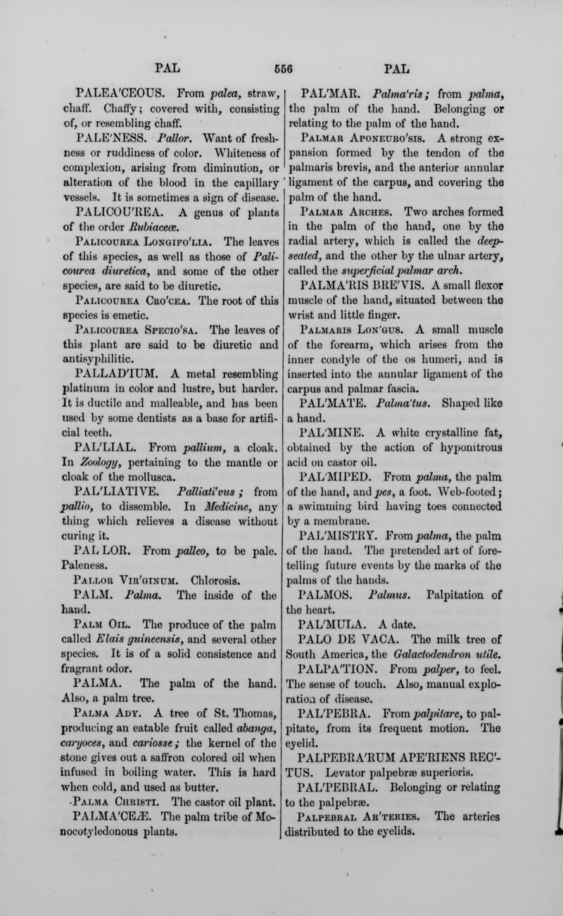 PALEA'CEOUS. From palea, straw, chaff. Chaffy; covered with, consisting of, or resembling chaff. PALE'NESS. Pallor. Want of fresh- ness or ruddiness of color. Whiteness of complexion, arising from diminution, or alteration of the blood in the capillary vessels. It is sometimes a sign of disease. PALICOU'IIEA. A genus of plants of the order Rubiacece. Palicouhea Longifo'lia. The leaves of this species, as well as those of Pali- courea diuretica, and some of the other species, are said to be diuretic. Palioourea Cuo'cea. The root of this species is emetic. Palicourea Specio'sa. The leaves of this plant are said to be diuretic and antisyphilitic. PALLADIUM. A metal resembling platinum in color and lustre, but harder. It is ductile and malleable, and has been used by some dentists as a base for artifi- cial teeth. PAL'LIAL. From pallium, a cloak. In Zoology, pertaining to the mantle or cloak of the mollusca. PAL'LIATIVE. Palliati'vus; from pallio, to dissemble. In Medicine, any thing which relieves a disease without curing it. PAL LOR. From palleo, to be pale. Paleness. Pallor Vir'ginum. Chlorosis. PALM. Palma. The inside of the hand. Palm Oil. The produce of the palm called Elais guinecnsis, and several other species. It is of a solid consistence and fragrant odor. PALMA. The palm of the hand. Also, a palm tree. Palma Ady. A tree of St. Thomas, producing an eatable fruit called abanga, caryoces, and cariosse; the kernel of the stone gives out a saffron colored oil when infused in boiling water. This is hard when cold, and used as butter. •Palma Christi. The castor oil plant. PALMA'CE^E. The palm tribe of Mo- nocotyledonous plants. PAL'MAR. Palma'ris ; from palma, the palm of the hand. Belonging or relating to the palm of the hand. Palmar Aponeurosis. A strong ex- pansion formed by the tendon of the palmaris brevis, and the anterior annular ' ligament of the carpus, and covering the palm of the hand. Palmar Arches. Two arches formed in the palm of the hand, one by the radial artery, which is called the deep- seated, and the other by the ulnar artery, called the superficial palmar arch. PALMA'RIS BRE'VIS. A small flexor muscle of the hand, situated between the wrist and little finger. Palmaris Lon'gus. A small muscle of the forearm, which arises from the inner condyle of the os humeri, and is inserted into the annular ligament of the carpus and palmar fascia. PAL'MATE. Palma'tus. Shaped like a hand. PAL'MINE. A white crystalline fat, obtained by the action of hypomtrous acid on castor oil. PALMIPED. From palma, the palm of the hand, and pes, a foot. Web-footed; a swimming bird having toes connected by a membrane. PAL'MISTRY. From palma, the palm of the hand. The pretended art of fore- telling future events by the marks of the palms of the hands. PALMOS. Palmus. Palpitation of the heart. PAL'MULA. A date. PALO DE VACA. The milk tree of South America, the Galactodendron utile. PALPATION. From palper, to feel. The sense of touch. Also, manual explo- ration of disease. PAL'PEBRA. From palpitare, to pal- pitate, from its frequent motion. The eyelid. PALPEBRA'RUM APE'RIENS REC- TUS. Levator palpebral superioris. PAL'PEBRAL. Belonging or relating to the palpebral. Palpebral Ar'teries. The arteries distributed to the eyelids.