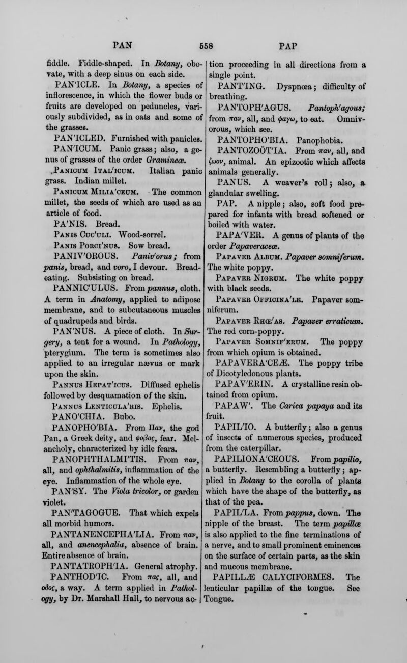 fiddle. Fiddle-shaped. In Botany, obo- vate, with a deep sinus on each side. PANICLE. In Botany, a species of inflorescence, in which the flower buds or fruits are developed on peduncles, vari- ously subdivided, as in oats and some of the grasses. PAN'ICLED. Furnished with panicles. PAN'ICUM. Panic grass; also, a ge- nus of grasses of the order Qramineos. .Panicum Ital'icum. Italian panic grass. Indian millet. Panicum Milia'ceum. The common millet, the seeds of which are used as an article of food. PA'NIS. Bread. Panis Cuc'uli. Wood-sorrel. Panis Porci'nus. Sow bread. PANIV'OROUS. Paniv'orus; from panis, bread, and voro, I devour. Bread- eating. Subsisting on bread. PANNIC'ULUS. From pannus, cloth. A term in Anatomy, applied to adipose membrane, and to subcutaneous muscles of quadrupeds and birds. PANNUS. A piece of cloth. In Sur- gery, a tent for a wound. In Pathology, pterygium. The term is sometimes also applied to an irregular nasvus or mark upon the skin. Pannus Hepat'icus. Diffused ephelis followed by desquamation of the skin. Pannus Lenticula'his. Ephelis. PANO'CHIA. Bubo. PANOPHO'BIA. From Uav, the god Pan, a Greek deity, and 4>oj3og, fear. Mel- ancholy, characterized by idle fears. PANOPHTHALMITIS. From rrav, all, and ophthalmitis, inflammation of the eye. Inflammation of the whole eye. PAN'SY. The Viola tricolor, or garden violet. PAN'TAGOGUE. That which expels all morbid humors. PANTANENCEPHA'LIA. From nav, all, and anencephalia, absence of brain. Entire absence of brain. PANTATROPHIA. General atrophy. PANTHOD'IC. From nag, all, and odog, a way. A term applied in Pathol- ogy, by Dr. Marshall Hall, to nervous ac- tion proceeding in all directions from a single point. PANTTNG. Dyspnoea; difficulty of breathing. PANTOPH'AGUS. Pantoph'agous; from nav, all, and <j>ayu, to eat. Omniv- orous, which see. PANTOPHOBIA. Panophobia. PANTOZOOTTA. From nav, all, and faov, animal. An epizootic which affects animals generally. PANUS. A weaver's roll; also, a glandular swelling. PAP. A nipple; also, soft food pre- pared for infants with bread softened or boiled with water. PAPA'VER. A genus of plants of the order Papaveraceai. Papaver Album. Papaver somniferum. The white poppy. Papaver Nigrum. The white poppy with black seeds. Papaver Officina'le. Papaver som- niferum. Papaver Rhce'as. Papaver erraiicum. The red corn-poppy. Papaver Somnif'erum. The poppy from which opium is obtained. PAPAVEKA'CEiE. The poppy tribe of Dicotyledonous plants. PAPAV'ERIN. A crystalline resin ob- tained from opium. PAP AW. The Carica papaya and its fruit. PAPIL'IO. A butterfly; also a genua of insects of numerous species, produced from the caterpillar. PAPILIONACEOUS. From papilio, a butterfly. Resembling a butterfly; ap- plied in Botany to the corolla of plants which have the shape of the butterfly, as that of the pea. PAPIL'LA. From pappus, down. The nipple of the breast. The term papiUce is also applied to the fine terminations of a nerve, and to small prominent eminences on the surface of certain parts, as the skin and mucous membrane. PAPILLA CALYCIFORMES. The lenticular papillae of the tongue. See Tongue.