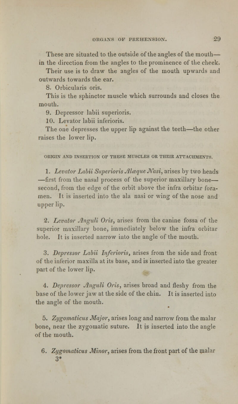 These are situated to the outside of the angles of the mouth— in the direction from the angles to the prominence of the cheek. Their use is to draw the angles of the mouth upwards and outwards towards the ear. 8. Orbicularis oris. This is the sphinctor muscle which surrounds and closes the mouth. 9. Depressor labii superioris. 10. Levator labii inferioris. The one depresses the upper lip against the teeth—the other raises the lower lip. ORIGIN AND INSERTION OF THESE MUSCLES OR THEIR ATTACHMENTS. 1. Levator Labii Superioris Alceque Nasi, arises by two heads —first from the nasal process of the superior maxillary bone— second, from the edge of the orbit above the infra orbitar fora- men. It is inserted into the ala nasi or wing of the nose and upper lip. 2. Levator Anguli Oris, arises from the canine fossa of the superior maxillary bone, immediately below the infra orbitar hole. It is inserted narrow into the angle of the mouth. 3. Depressor Labii Inferioris, arises from the side and front of the inferior maxilla at its base, and is inserted into the greater part of the lower lip. 4. Depressor Anguli Oris, arises broad and fleshy from the base of the lower jaw at the side of the chin. It is inserted into the angle of the mouth. 5. Zygomaticus Major, arises long and narrow from the malar bone, near the zygomatic suture. It is inserted into the angle of the mouth. 6. Zygomaticus Minor, arises from the front part of the malar 3*