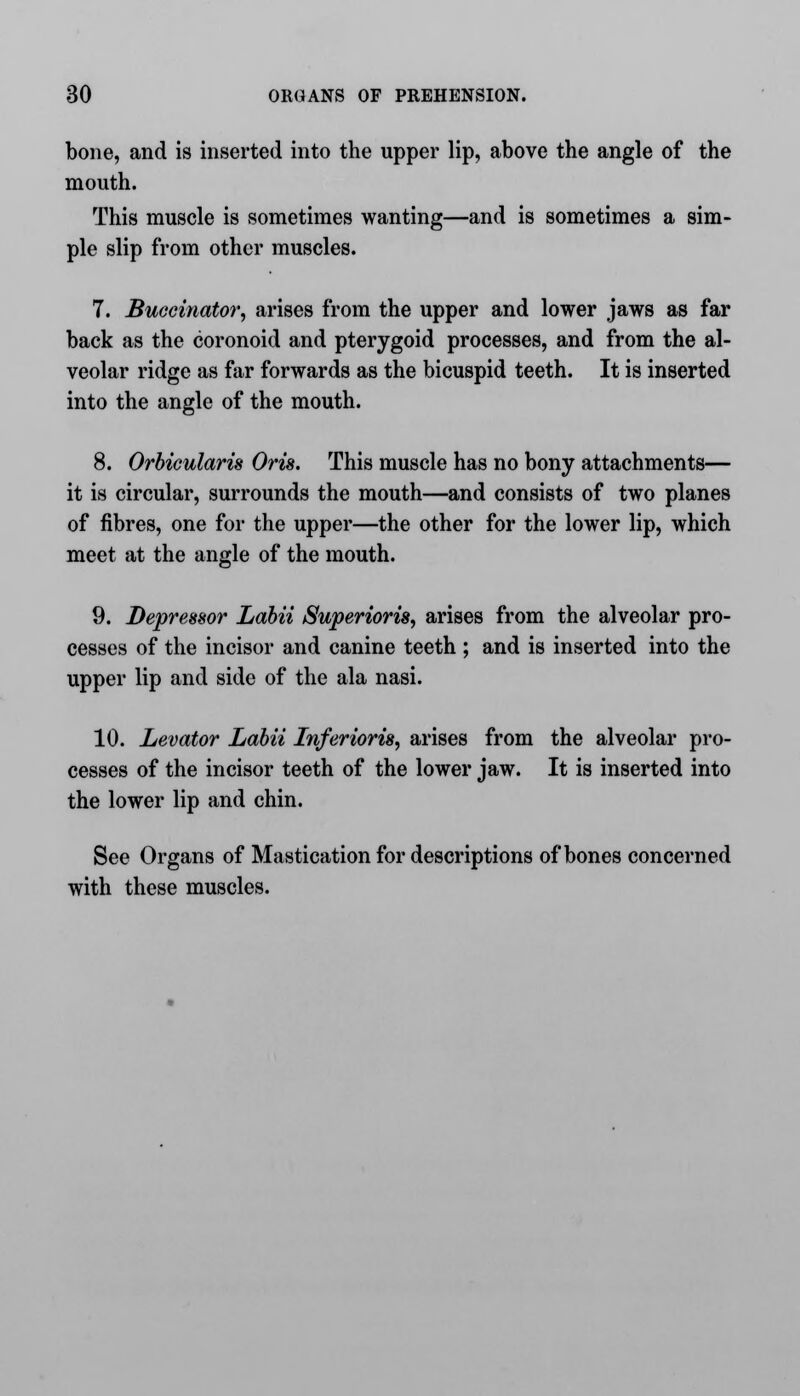 bone, and is inserted into the upper lip, above the angle of the mouth. This muscle is sometimes wanting—and is sometimes a sim- ple slip from other muscles. 7. Buccinator, arises from the upper and lower jaws as far back as the coronoid and pterygoid processes, and from the al- veolar ridge as for forwards as the bicuspid teeth. It is inserted into the angle of the mouth. 8. Orbicularis Oris. This muscle has no bony attachments— it is circular, surrounds the mouth—and consists of two planes of fibres, one for the upper—the other for the lower lip, which meet at the angle of the mouth. 9. Depressor Labii Superioris, arises from the alveolar pro- cesses of the incisor and canine teeth ; and is inserted into the upper lip and side of the ala nasi. 10. Levator Labii Inferioris, arises from the alveolar pro- cesses of the incisor teeth of the lower jaw. It is inserted into the lower lip and chin. See Organs of Mastication for descriptions of bones concerned with these muscles.