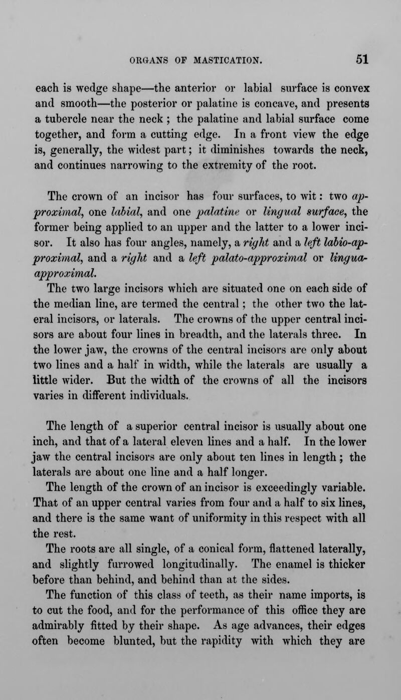 each is wedge shape—the anterior or labial surface is convex and smooth—the posterior or palatine is concave, and presents a tubercle near the neck ; the palatine and labial surface come together, and form a cutting edge. In a front view the edge is, generally, the widest part; it diminishes towards the neck, and continues narrowing to the extremity of the root. The crown of an incisor has four surfaces, to wit: two ap- proximate one labial, and one palatine or lingual surface, the former being applied to an upper and the latter to a lower inci- sor. It also has four angles, namely, a right and a left labio-ap- proximal, and a right and a left palato-approximal or lingua- approximal. The two large incisors which are situated one on each side of the median line, are termed the central; the other two the lat- eral incisors, or laterals. The crowns of the upper central inci- sors are about four lines in breadth, and the laterals three. In the lower jaw, the crowns of the central incisors are only about two lines and a half in width, while the laterals are usually a little wider. But the width of the crowns of all the incisors varies in different individuals. The length of a superior central incisor is usually about one inch, and that of a lateral eleven lines and a half. In the lower jaw the central incisors are only about ten lines in length; the laterals are about one line and a half longer. The length of the crown of an incisor is exceedingly variable. That of an upper central varies from four and a half to six lines, and there is the same want of uniformity in this respect with all the rest. The roots are all single, of a conical form, flattened laterally, and slightly furrowed longitudinally. The enamel is thicker before than behind, and behind than at the sides. The function of this class of teeth, as their name imports, is to cut the food, and for the performance of this office they are admirably fitted by their shape. As age advances, their edges often become blunted, but the rapidity with which they are