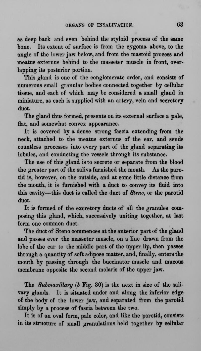 as deep back and even behind the styloid process of the same bone. Its extent of surface is from the zygoma above, to the angle of the lower jaw below, and from the mastoid process and meatus externus behind to the masseter muscle in front, over- lapping its posterior portion. This gland is one of the conglomerate order, and consists of numerous small granular bodies connected together by cellular tissue, and each of which may be considered a small gland in miniature, as each is supplied with an artery, vein and secretory duct. The gland thus formed, presents on its external surface a pale, flat, and somewhat convex appearance. It is covered by a dense strong fascia extending from the neck, attached to the meatus externus of the ear, and sends countless processes into every part of the gland separating its lobules, and conducting the vessels through its substance. The use of this gland is to secrete or separate from the blood the greater part of the saliva furnished the mouth. As the paro- tid is, however, on the outside, and at some little distance from the mouth, it is furnished with a duct to convey its fluid into this cavity—this duct is called the duct of Steno, or the parotid duct. It is formed of the excretory ducts of all the granules com- posing this gland, which, successively uniting together, at last form one common duct. The duct of Steno commences at the anterior part of the gland and passes ever the masseter muscle, on a line drawn from the lobe of the ear to the middle part of the upper lip, then passes through a quantity of soft adipose matter, and, finally, enters the mouth by passing through the buccinator muscle and mucous membrane opposite the second molaris of the upper jaw. The Submaxillary (b Fig. 30) is the next in size of the sali- vary glands. It is situated under and along the inferior edge of the body of the lower jaw, and separated from the parotid simply by a process of fascia between the two. It is of an oval form, pale color, and like the parotid, consists in its structure of small granulations held together by cellular