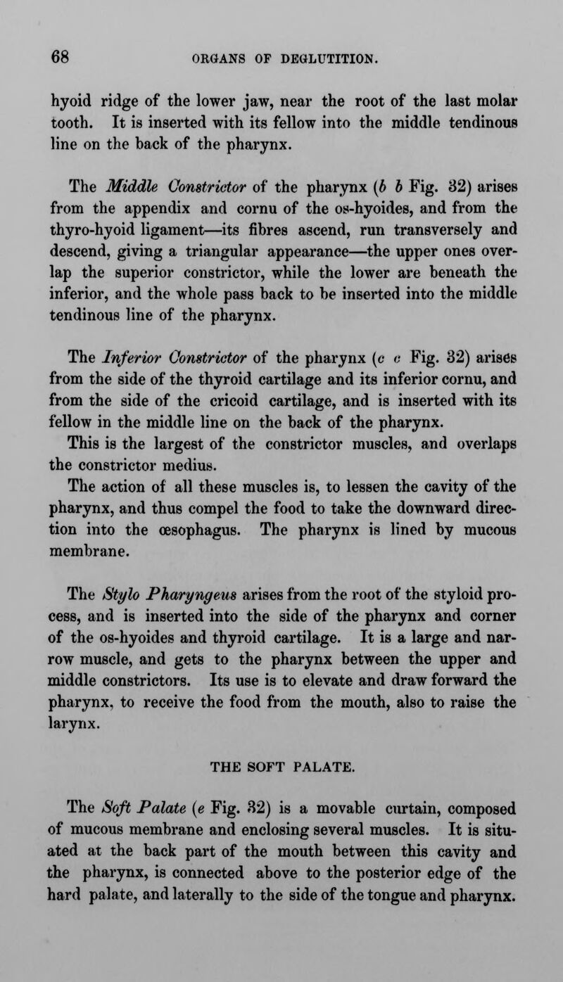 hyoid ridge of the lower jaw, near the root of the last molar tooth. It is inserted with its fellow into the middle tendinous line on the back of the pharynx. The Middle Constrictor of the pharynx {b b Fig. 32) arises from the appendix and cornu of the os-hyoides, and from the thyro-hyoid ligament—its fibres ascend, run transversely and descend, giving a triangular appearance—the upper ones over- lap the superior constrictor, while the lower are beneath the inferior, and the whole pass back to be inserted into the middle tendinous line of the pharynx. The Inferior Constrictor of the pharynx (c v. Fig. 32) arises from the side of the thyroid cartilage and its inferior cornu, and from the side of the cricoid cartilage, and is inserted with its fellow in the middle line on the back of the pharynx. This is the largest of the constrictor muscles, and overlaps the constrictor medius. The action of all these muscles is, to lessen the cavity of the pharynx, and thus compel the food to take the downward direc- tion into the oesophagus. The pharynx is lined by mucous membrane. The Stylo Pharyngeus arises from the root of the styloid pro- cess, and is inserted into the side of the pharynx and corner of the os-hyoides and thyroid cartilage. It is a large and nar- row muscle, and gets to the pharynx between the upper and middle constrictors. Its use is to elevate and draw forward the pharynx, to receive the food from the mouth, also to raise the larynx. THE SOFT PALATE. The Soft Palate (e Fig. 32) is a movable curtain, composed of mucous membrane and enclosing several muscles. It is situ- ated at the back part of the mouth between this cavity and the pharynx, is connected above to the posterior edge of the hard palate, and laterally to the side of the tongue and pharynx.