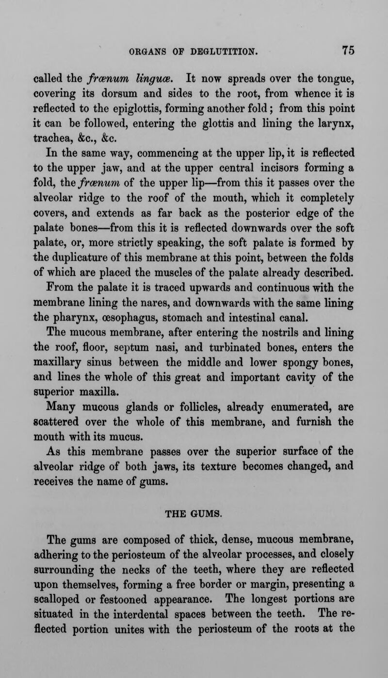 called the frcenum linguae. It now spreads over the tongue, covering its dorsum and sides to the root, from whence it is reflected to the epiglottis, forming another fold; from this point it can be followed, entering the glottis and lining the larynx, trachea, &c, &c. In the same way, commencing at the upper lip, it is reflected to the upper jaw, and at the upper central incisors forming a fold, the frcenum of the upper lip—from this it passes over the alveolar ridge to the roof of the mouth, which it completely covers, and extends as far back as the posterior edge of the palate bones—from this it is reflected downwards over the soft palate, or, more strictly speaking, the soft palate is formed by the duplicature of this membrane at this point, between the folds of which are placed the muscles of the palate already described. From the palate it is traced upwards and continuous with the membrane lining the nares, and downwards with the same lining the pharynx, oesophagus, stomach and intestinal canal. The mucous membrane, after entering the nostrils and lining the roof, floor, septum nasi, and turbinated bones, enters the maxillary sinus between the middle and lower spongy bones, and lines the whole of this great and important cavity of the superior maxilla. Many mucous glands or follicles, already enumerated, are scattered over the whole of this membrane, and furnish the mouth with its mucus. As this membrane passes over the superior surface of the alveolar ridge of both jaws, its texture becomes changed, and receives the name of gums. THE GUMS. The gums are composed of thick, dense, mucous membrane, adhering to the periosteum of the alveolar processes, and closely surrounding the necks of the teeth, where they are reflected upon themselves, forming a free border or margin, presenting a scalloped or festooned appearance. The longest portions are situated in the interdental spaces between the teeth. The re- flected portion unites with the periosteum of the roots at the