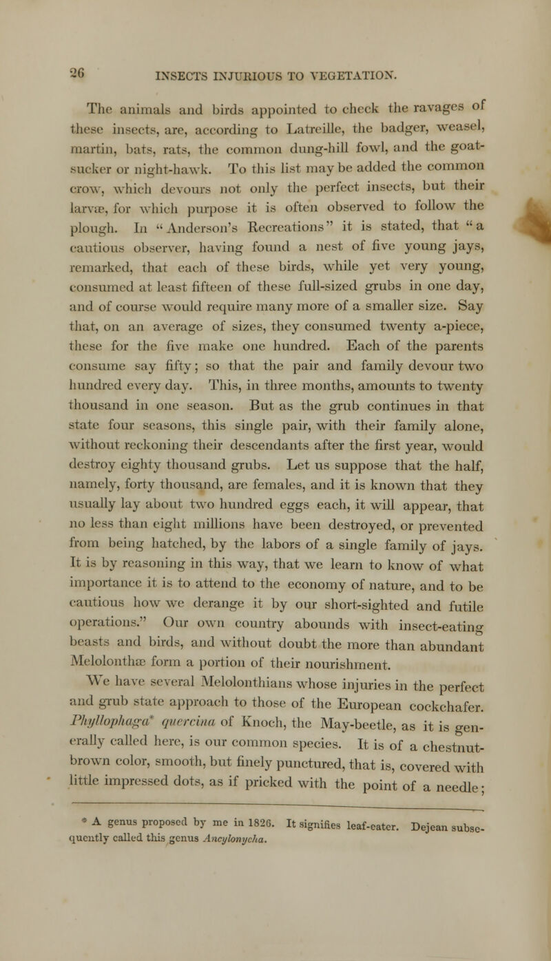The animals and birds appointed to check the ravages of these insects, are, according to Latreille, the badger, weasel, martin, bats, rats, the common dung-hill fowl, and the goat- sucker or night-hawk. To this list maybe added the common crow, which devours not only the perfect insects, but their larva-, for which purpose it is often observed to follow the plough. In Anderson's Recreations it is stated, that a cautious observer, having found a nest of five young jays, remarked, that each of these birds, while yet very young, consumed at least fifteen of these full-sized grubs in one day, and of course would require many more of a smaller size. Say that, on an average of sizes, they consumed twenty a-piece, these for the live make one hundred. Each of the parents consume say fifty; so that the pair and family devour two hundred every day. This, in three months, amounts to twenty thousand in one season. But as the grub continues in that state four seasons, this single pair, with their family alone, without reckoning their descendants after the first year, would destroy eighty thousand grubs. Let us suppose that the half, namely, forty thousand, are females, and it is known that they usually lay about two hundred eggs each, it will appear, that no less than eight millions have been destroyed, or prevented from being hatched, by the labors of a single family of jays. It is by reasoning in this way, that we learn to know of what importance it is to attend to the economy of nature, and to be cautious how we derange it by our short-sighted and futile operations.' Our own country abounds with insect-eatin«- beasts and birds, and without doubt the more than abundant Melolonthse form a portion of their nourishment. We have several Melolonthians whose injuries in the perfect and grub state approach to those of the European cockchafer. PhyUophaga* quercim of Enoch, the May-beetle, as it is gen- erally called here, is our common species. It is of a chestnut- brown color, smooth, but finely punctured, that is, covered with little impressed dots, as if pricked with the point of a needle; * A genus proposed by me in 1826. It signifies leaf-eater. Dejean subse- quently called this genus Ancylonycha.