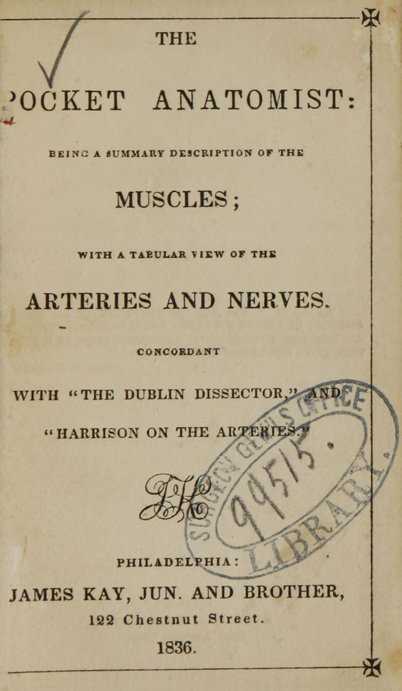 THE >OCKET ANATOMIST: BIINC A SUMMARY DESCRIPTION or THE MUSCLES; WITH A TABULAR VIEW OP THE ARTERIES AND NERVES CONCORDANT WITH THE DUBLIN DISSECTOR^gTH^gP » HARRISON ON THE ARJ PHILADELPHIA: \JS^ JAMES KAY, JUN. AND BROTHER, 122 Chestnut Street. 1836.